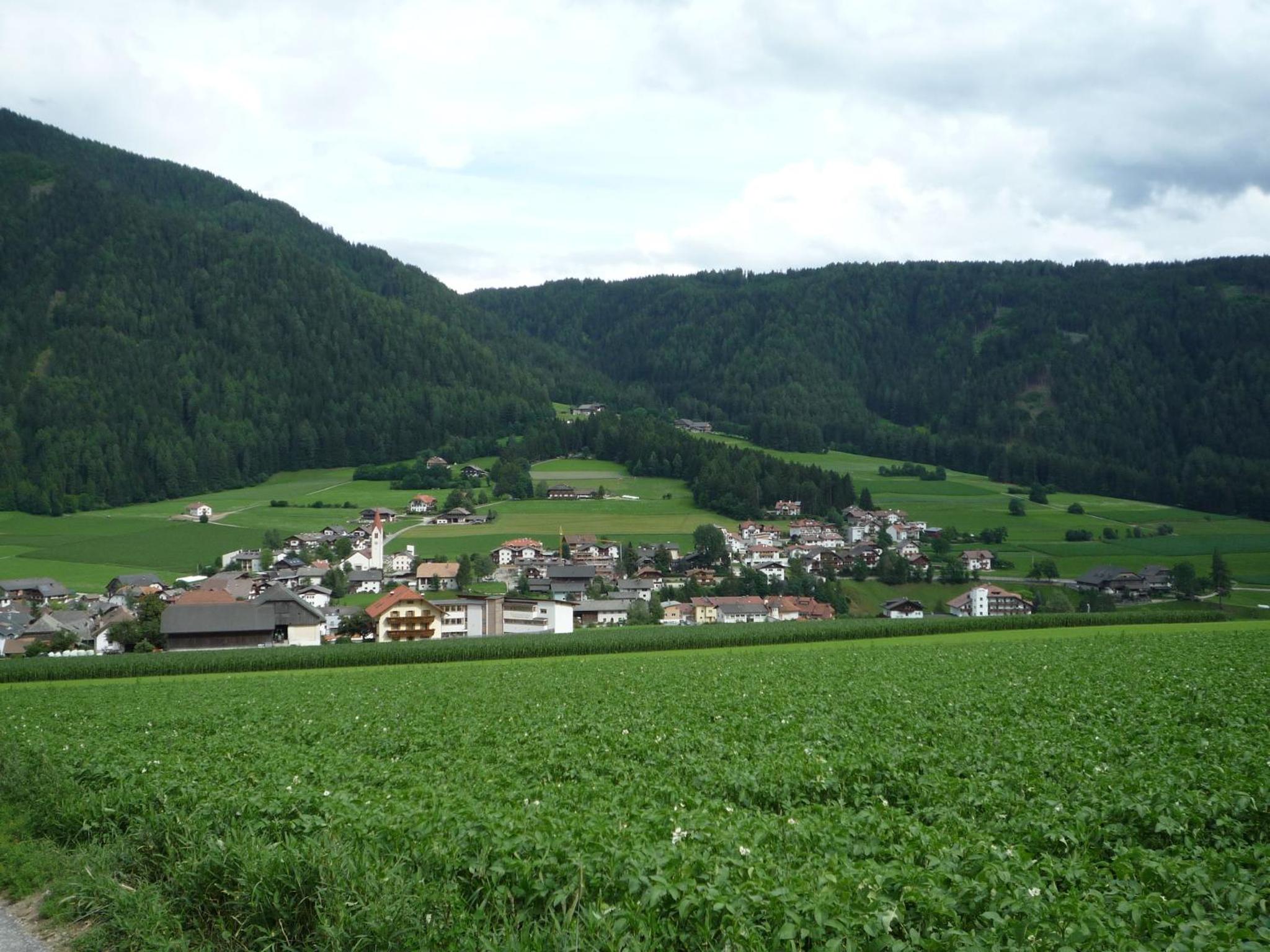 Photo 24