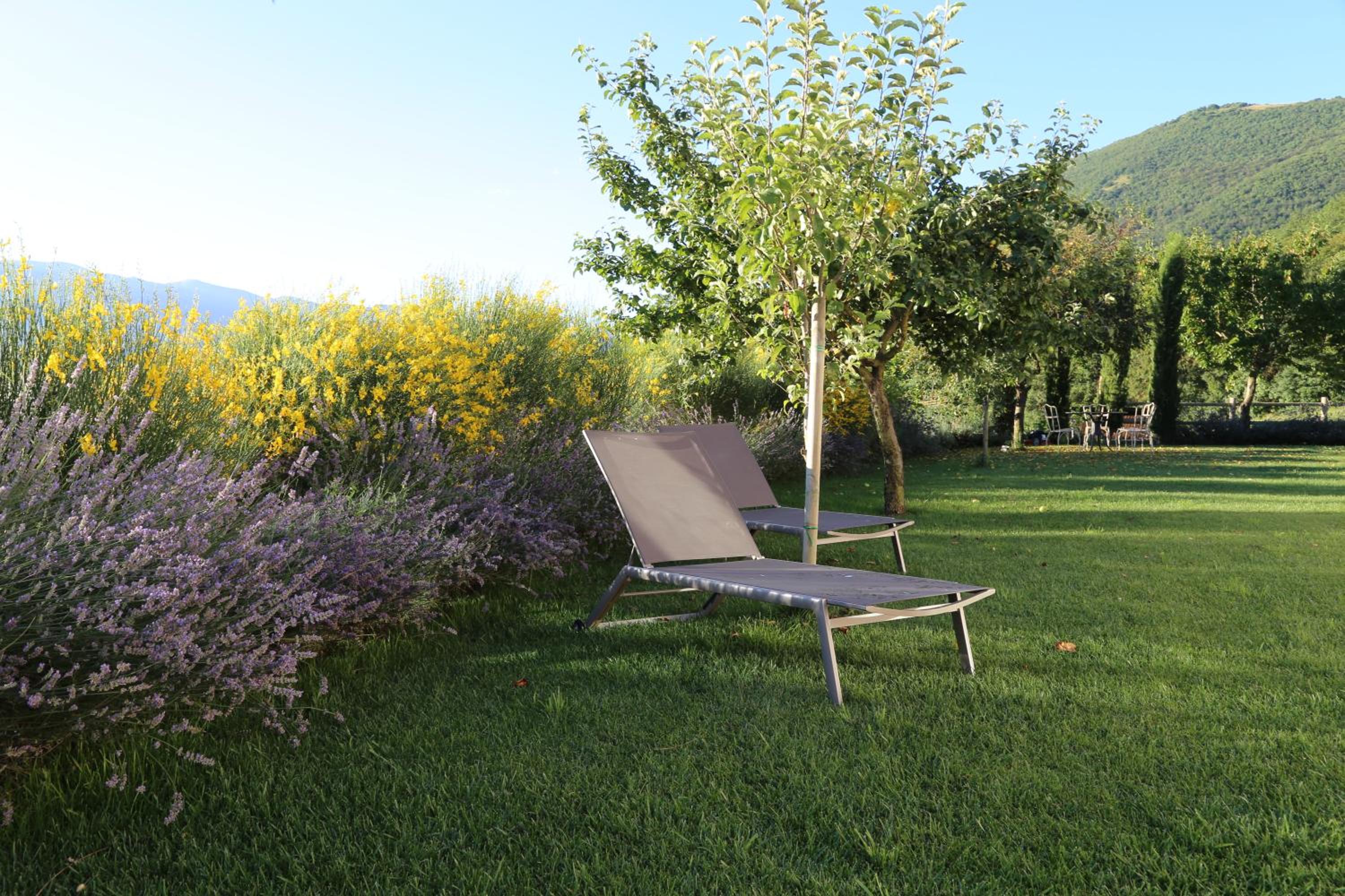 Agriturismo La Cascina di Opaco view 4