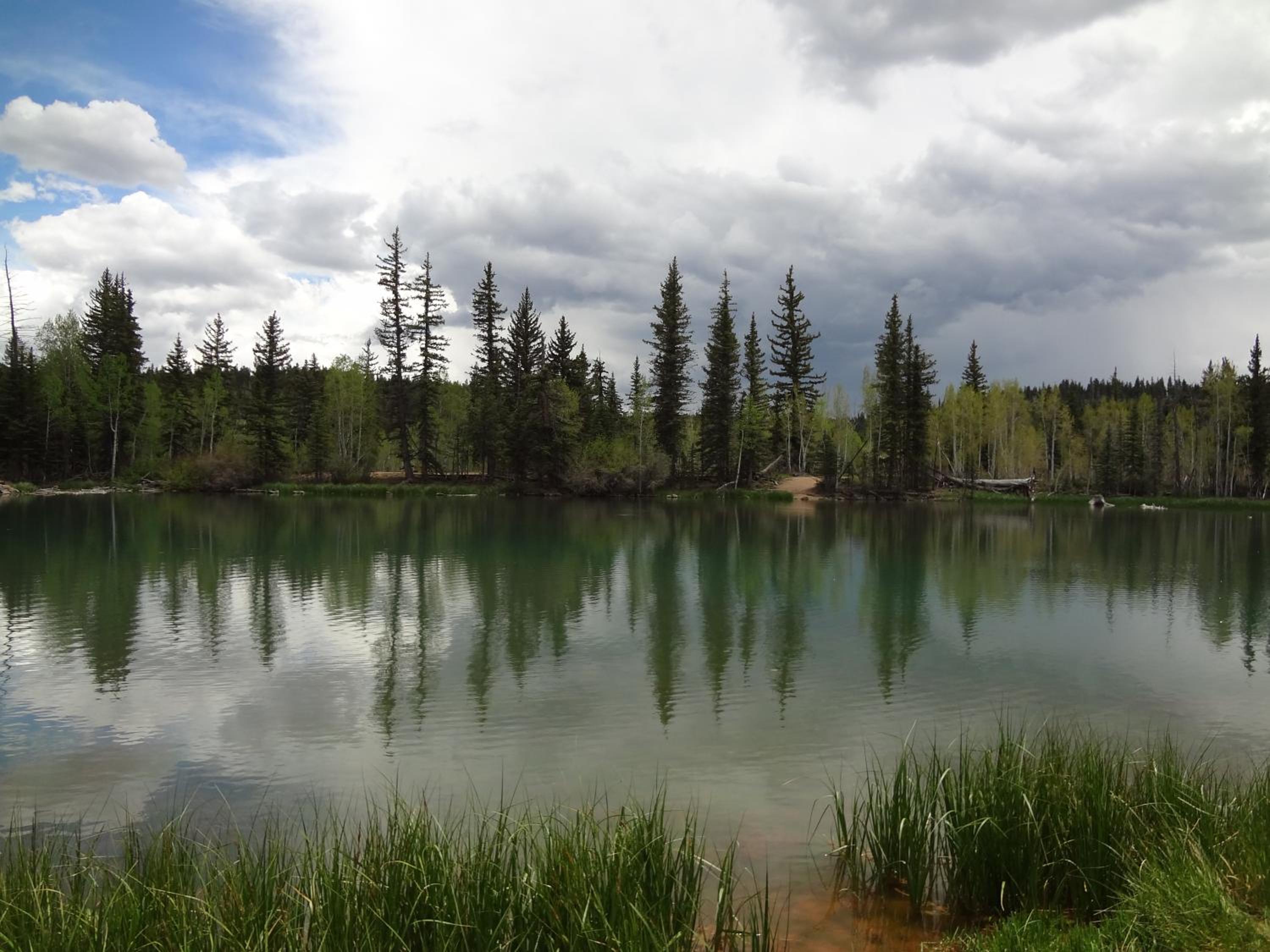 The Lodge at Duck Creek