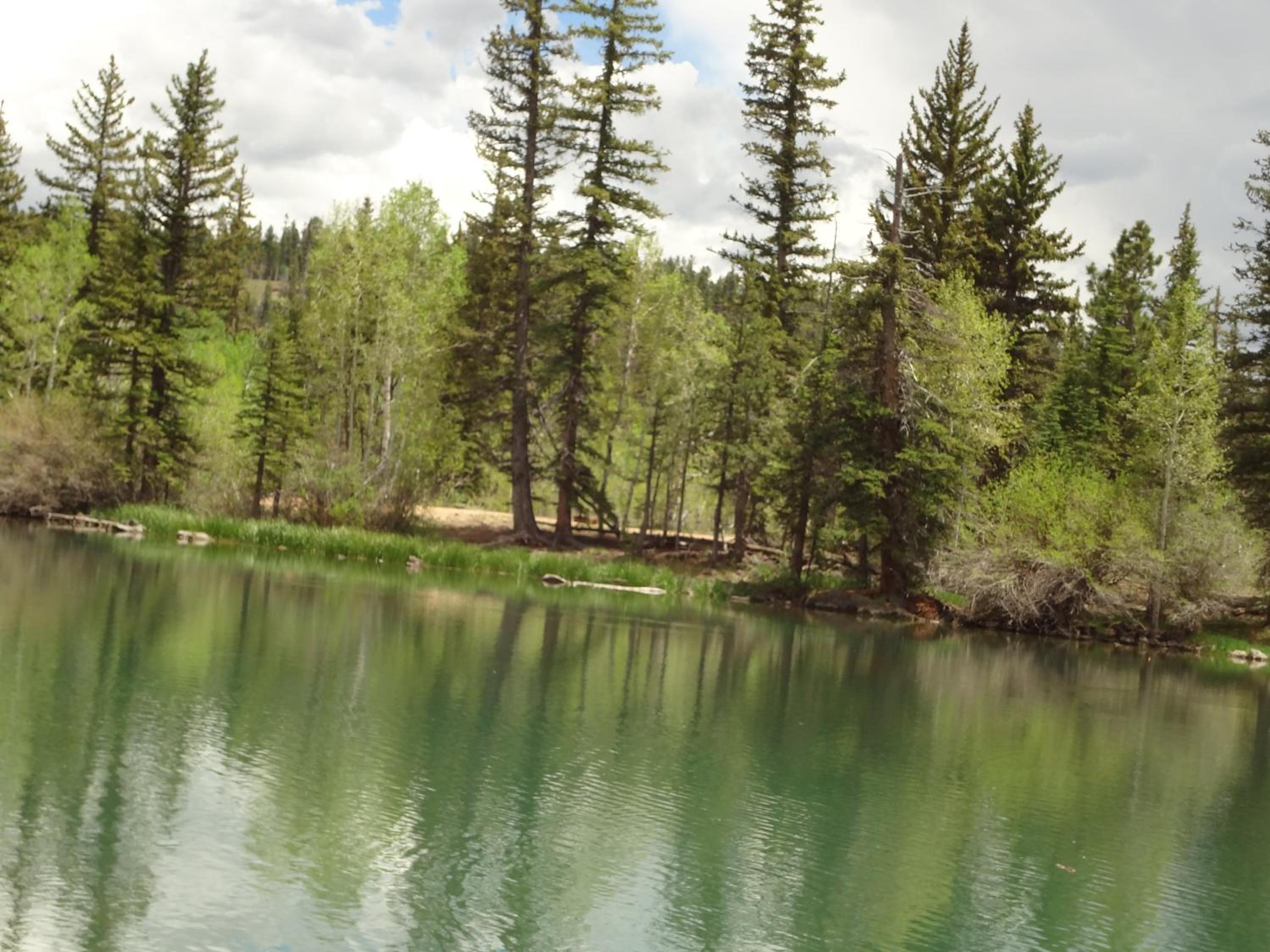 The Lodge at Duck Creek