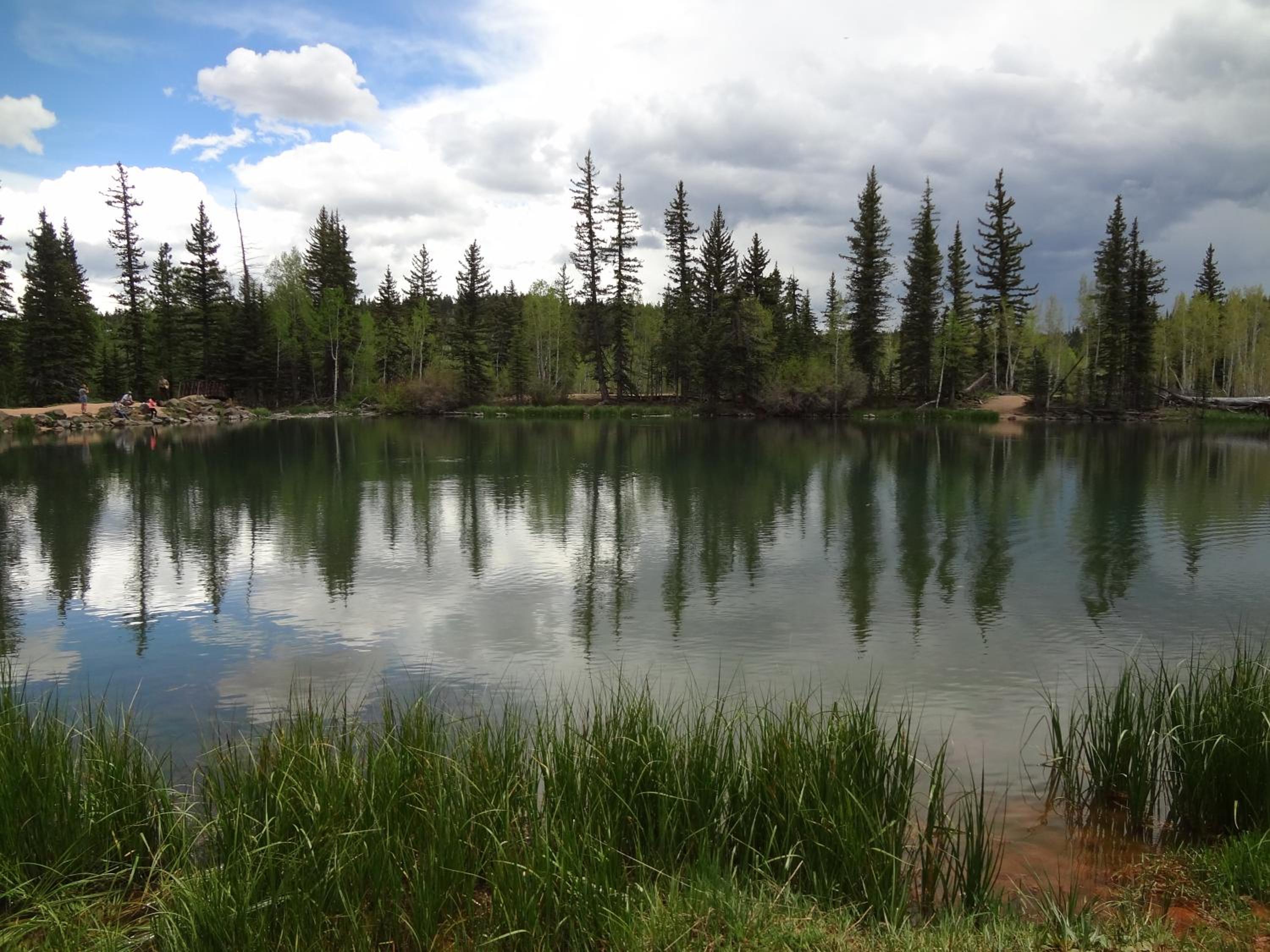 The Lodge at Duck Creek