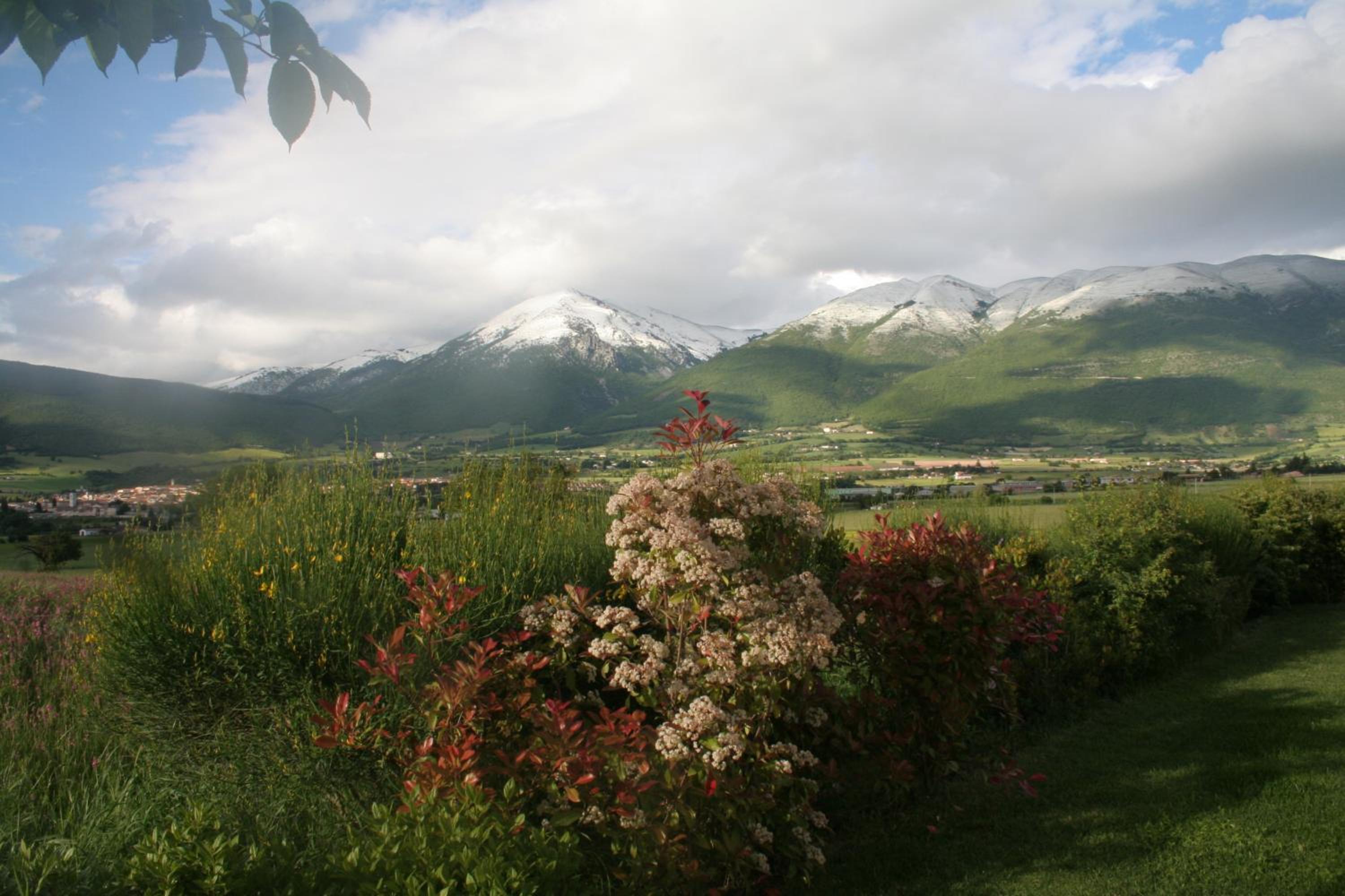 Agriturismo La Cascina di Opaco view 5
