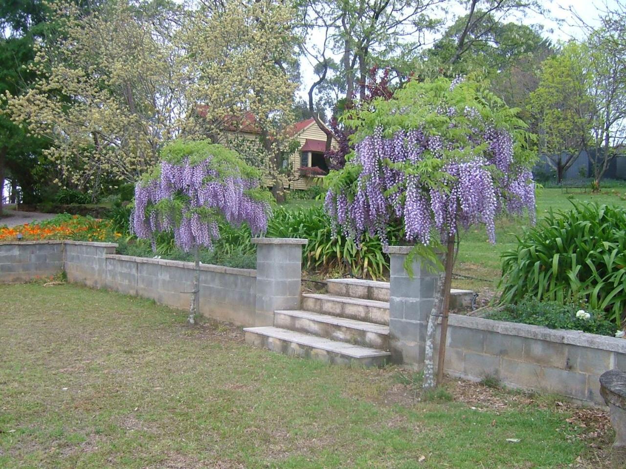 Hermitage Cottage
