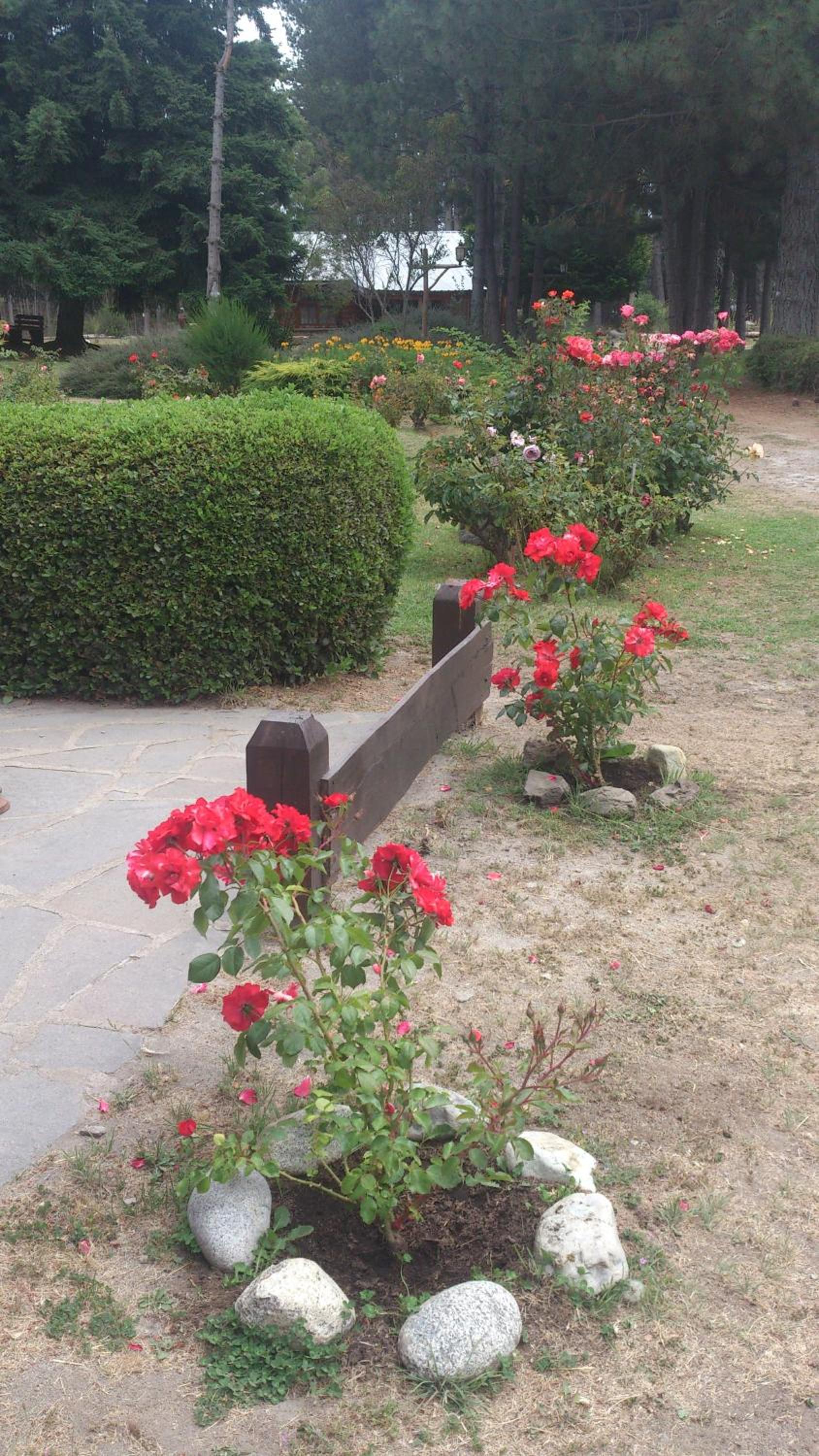 Posada del Angel