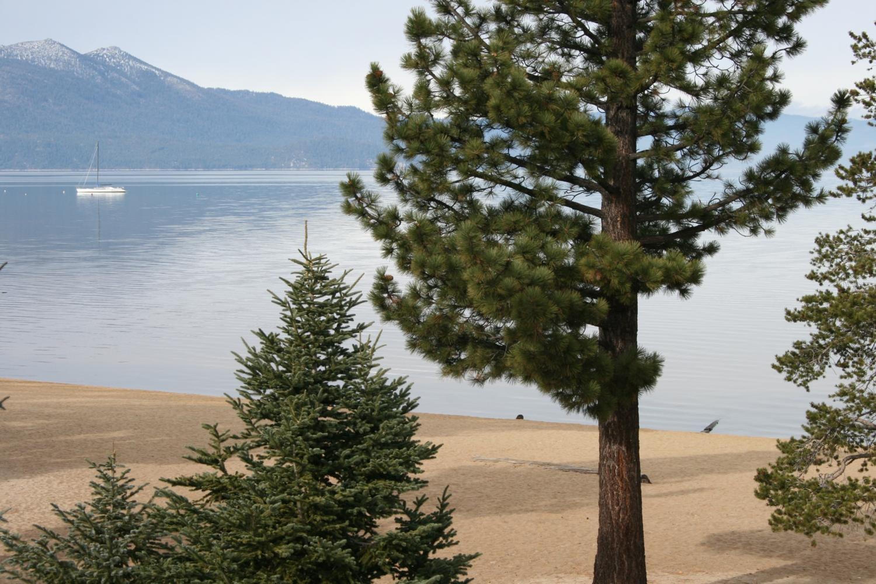 Lake Tahoe Vacations - The Tahoe Beach Ski Club Owners Association - Property Image 34