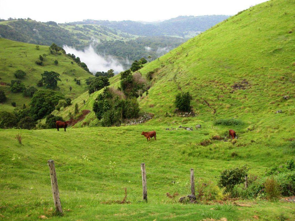 Top Of The Hill