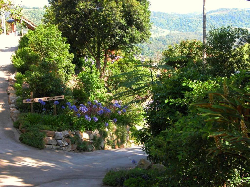 Top Of The Hill