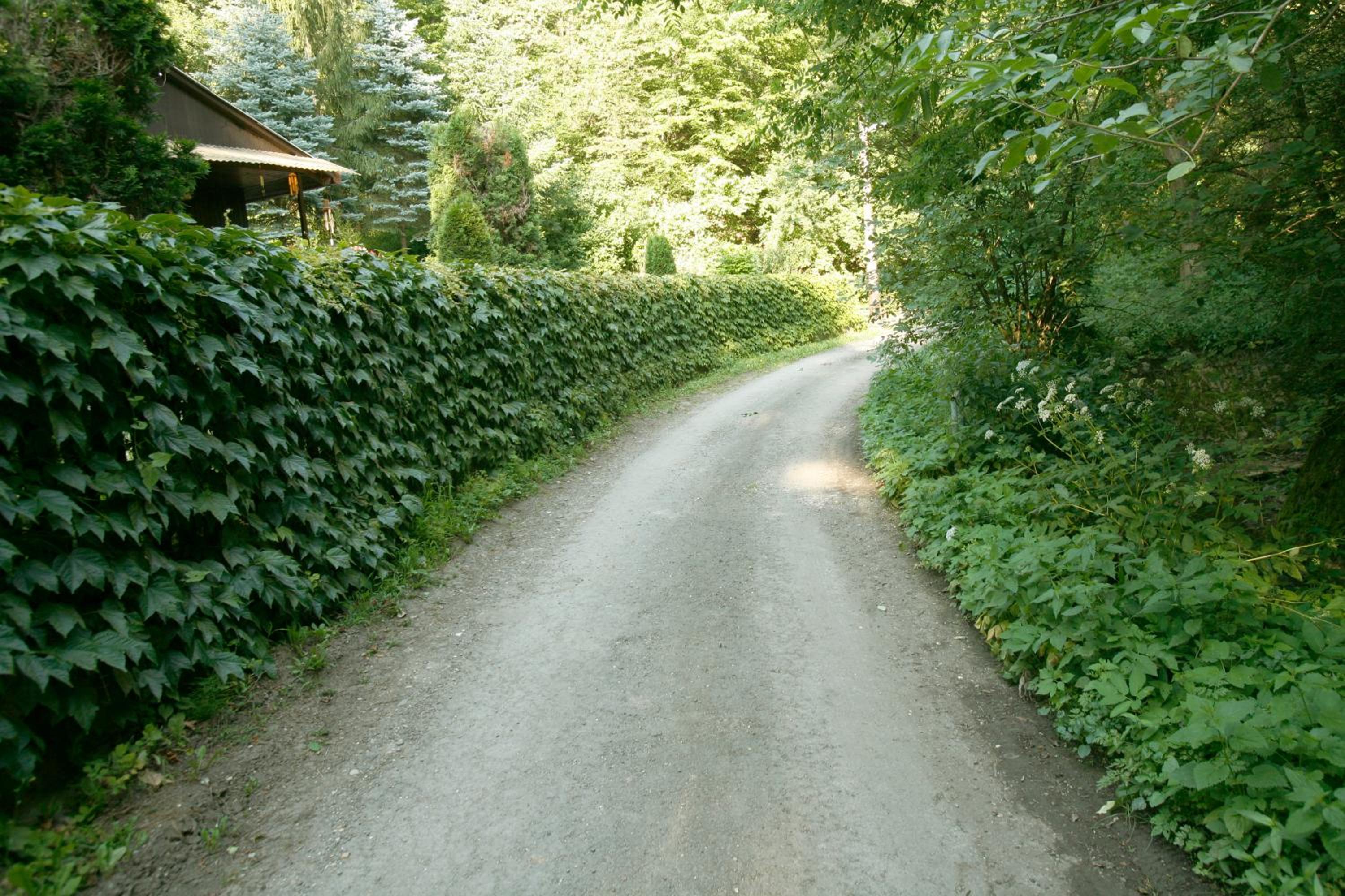Photo 26