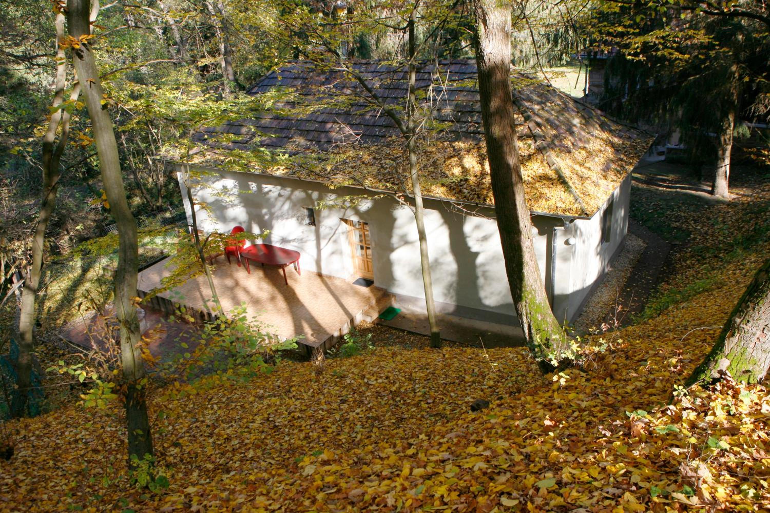 Photo 28