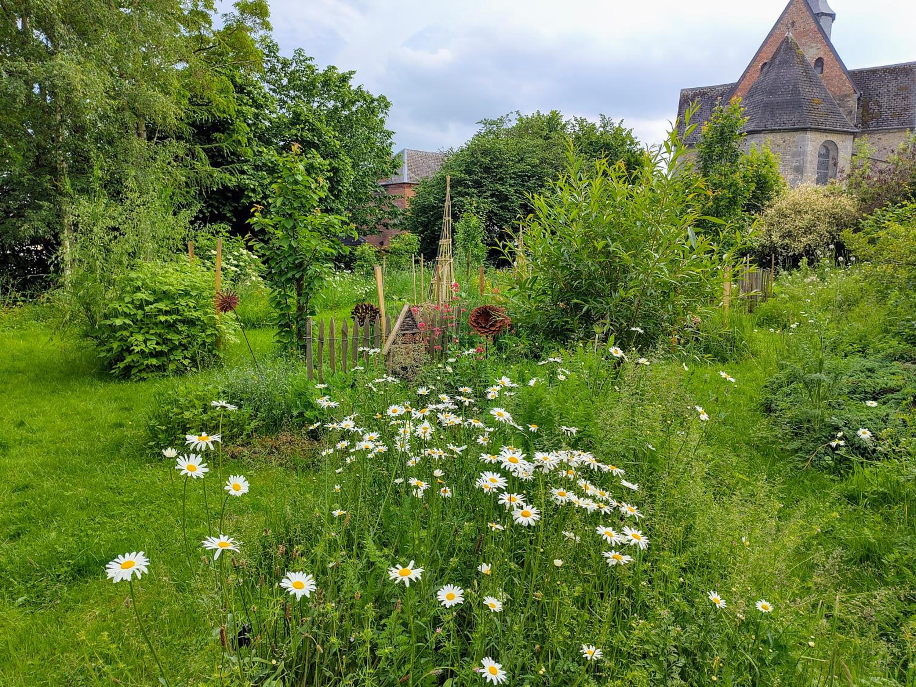 Photo 48