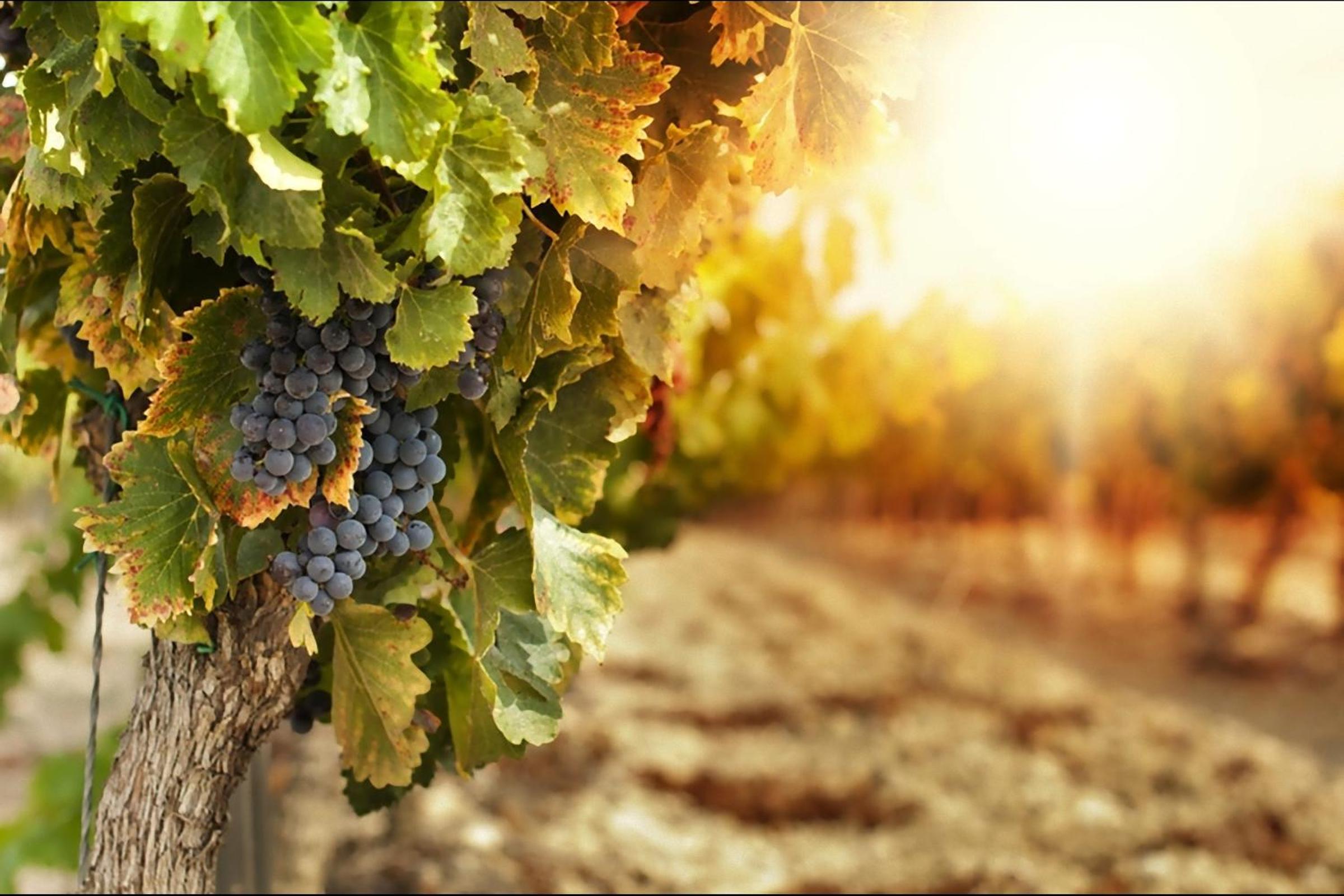 B&B Il Portico