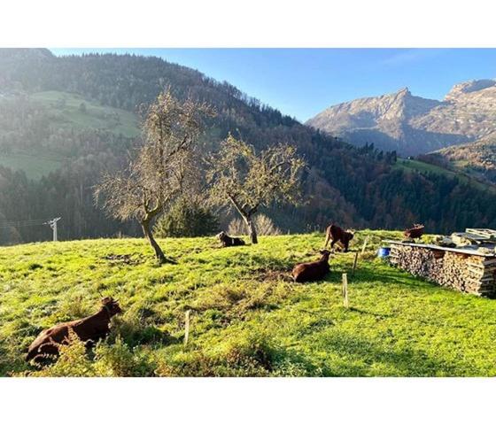 Le Mazot du Genévrier - Au coeur des Aravis