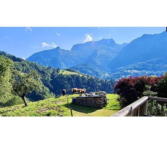 Le Mazot du Genévrier - Au coeur des Aravis