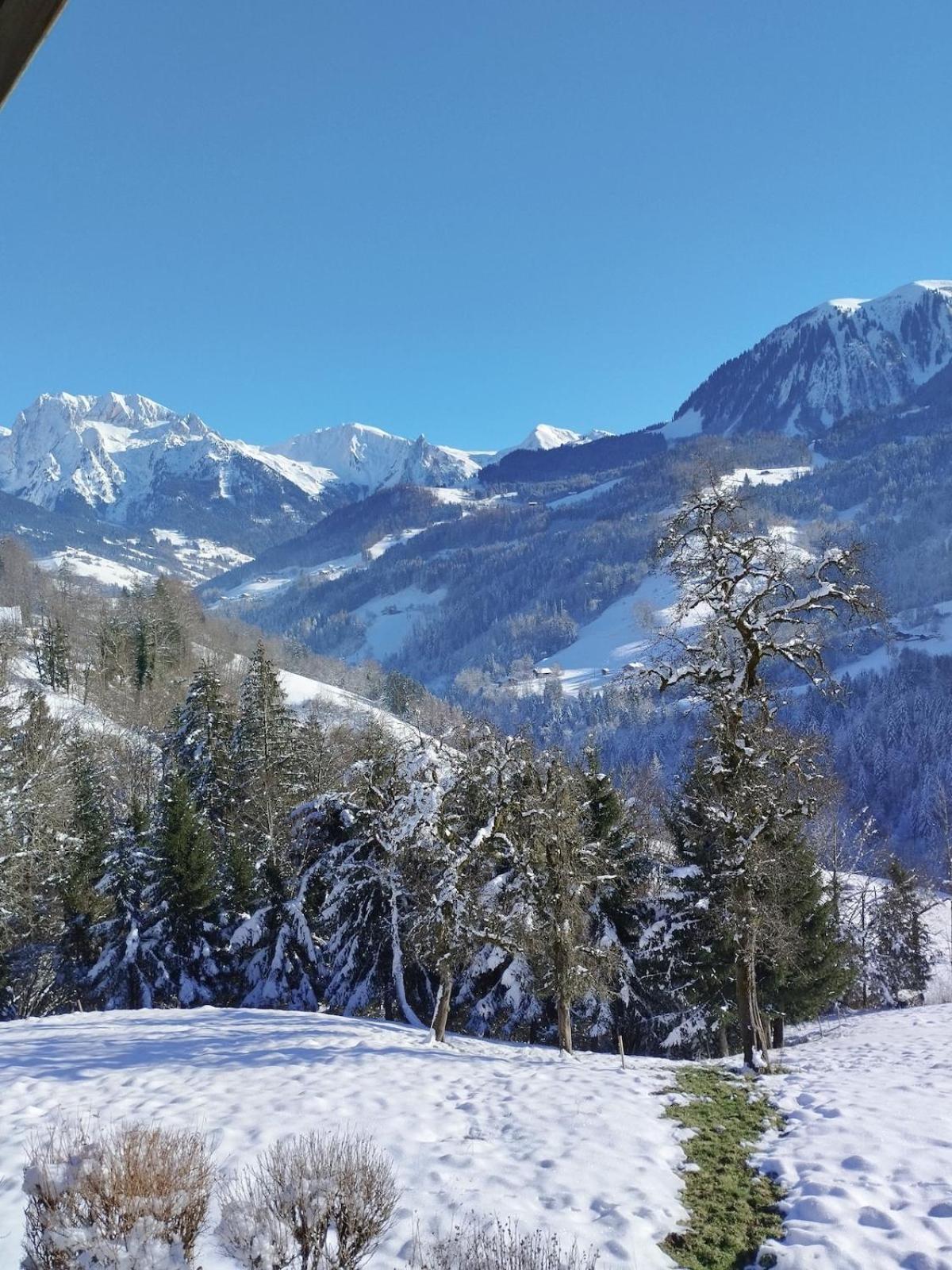Le Mazot du Genévrier - Au coeur des Aravis