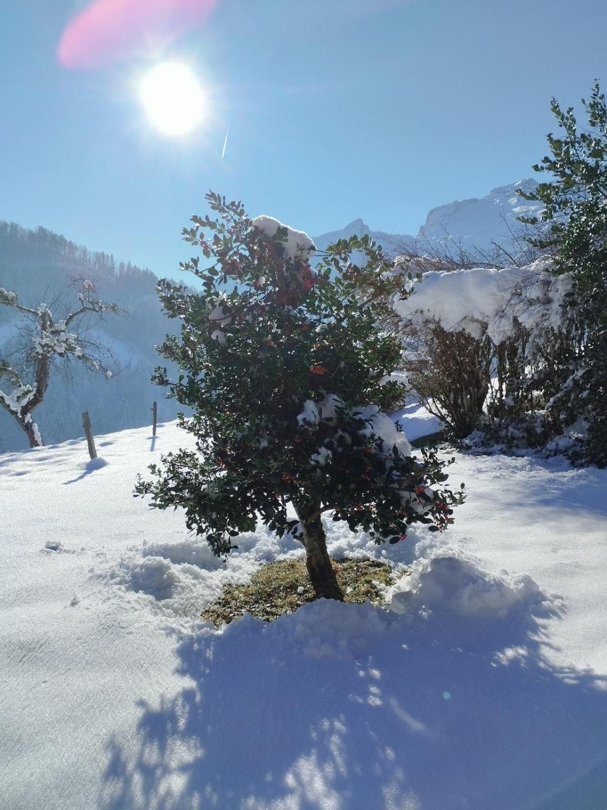 Le Mazot du Genévrier - Au coeur des Aravis