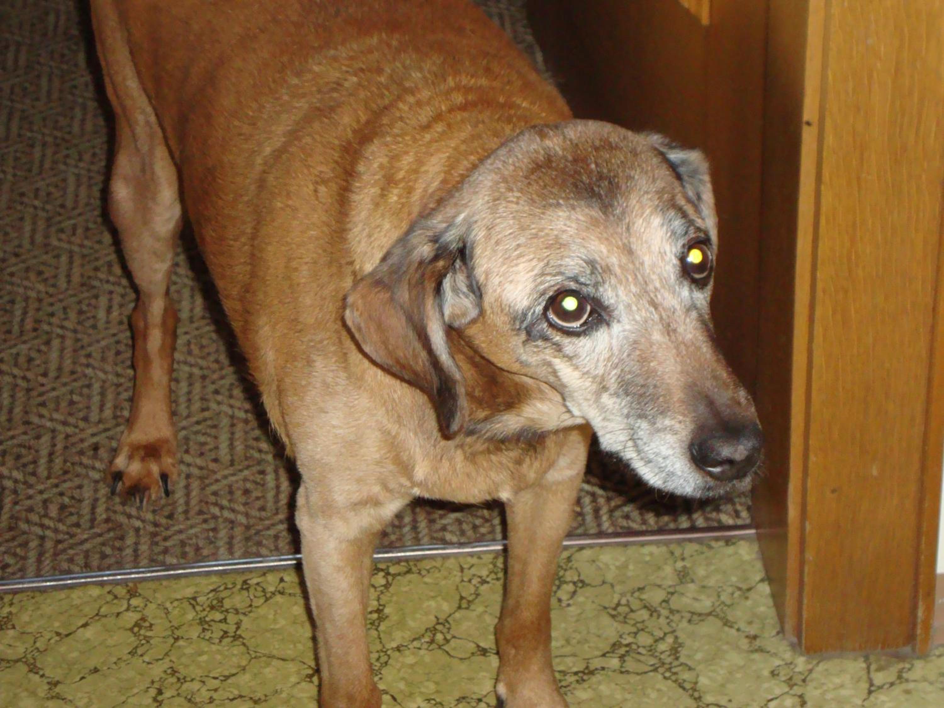 Photo 20