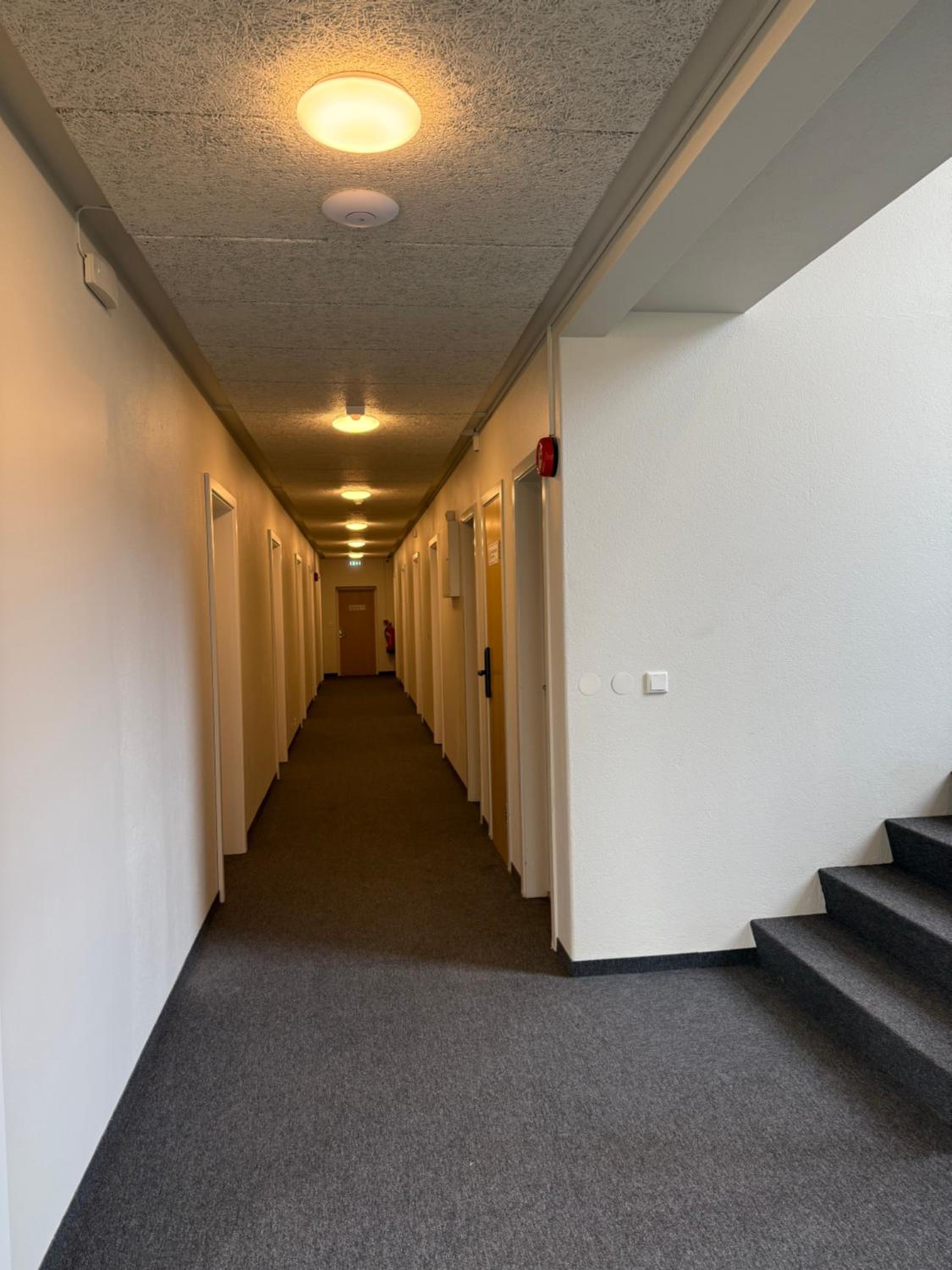 Skogar Hostel