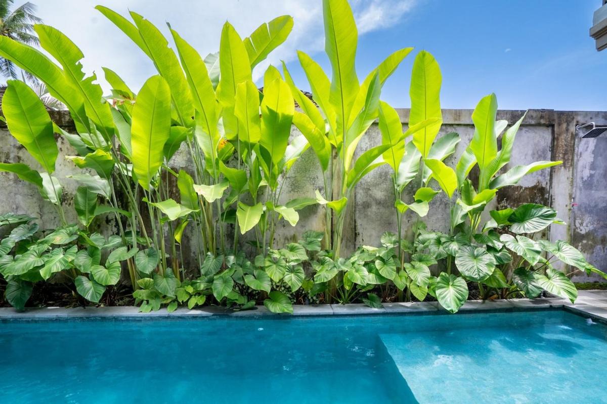Villa Yasmin - 2BR Private Villa Ubud
