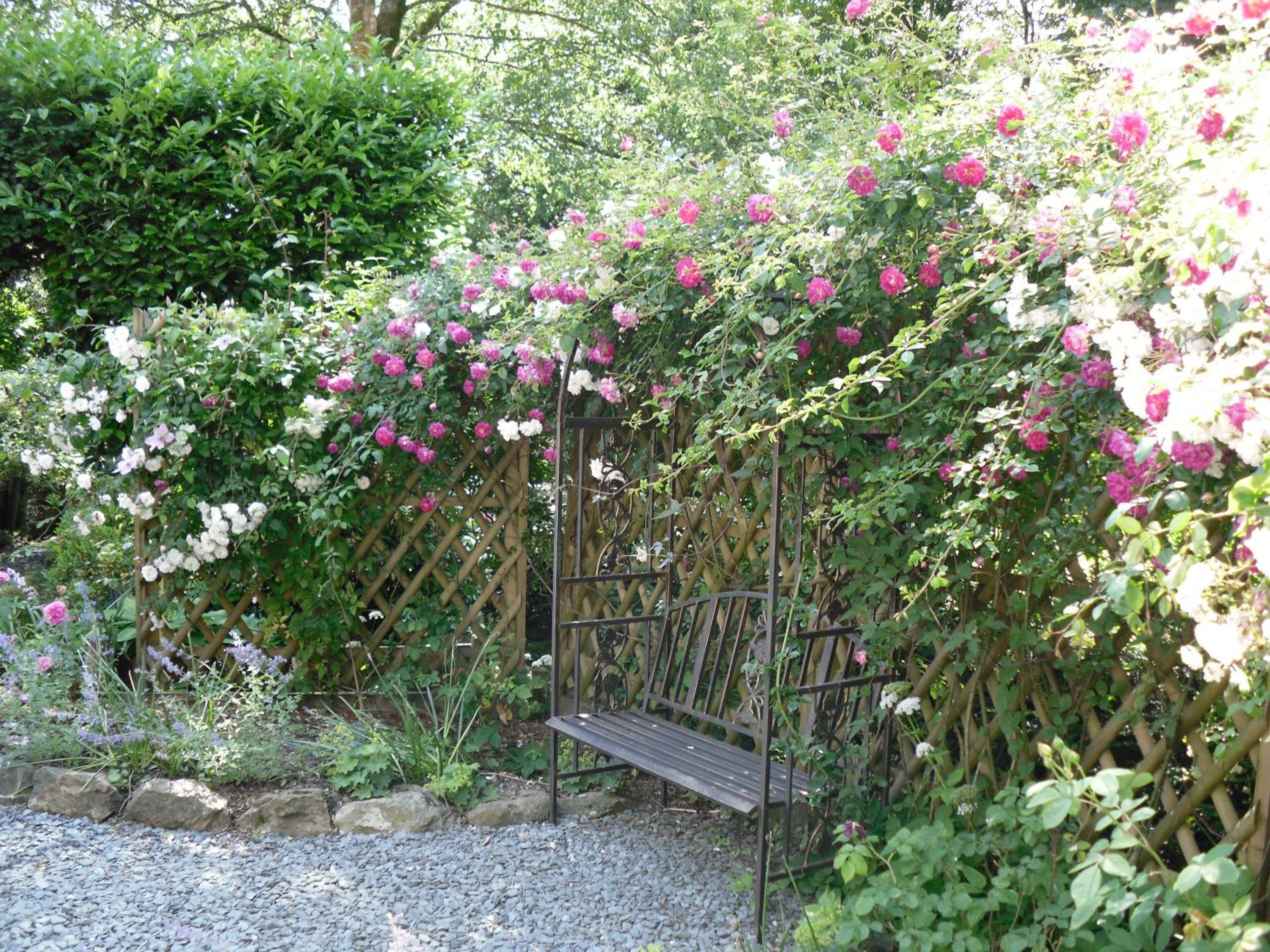 Storrs Gate House B & B No pets Allowed