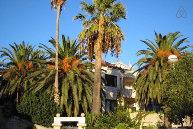Apartments Villa Domus Marini