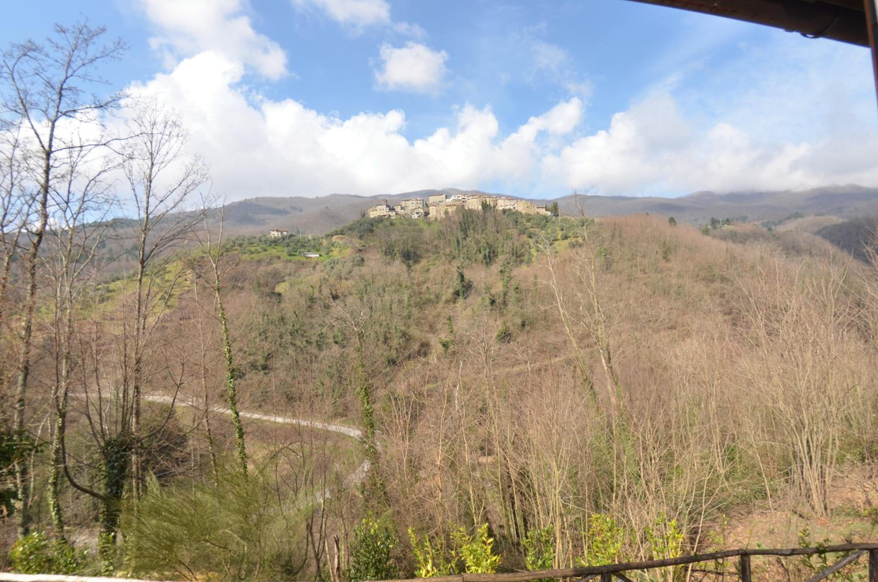 Anfora photo 3