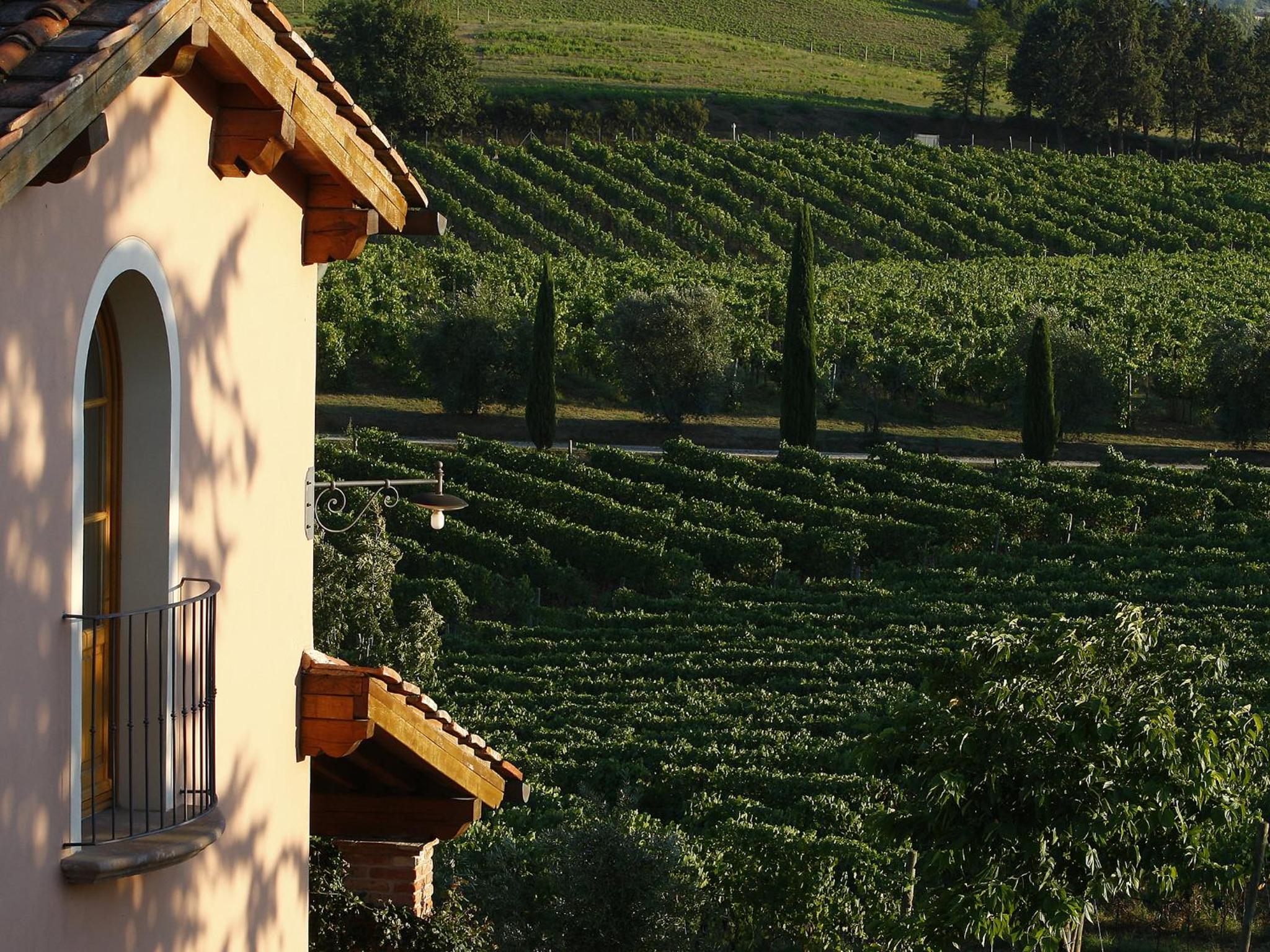 Poggio al Casone view 3