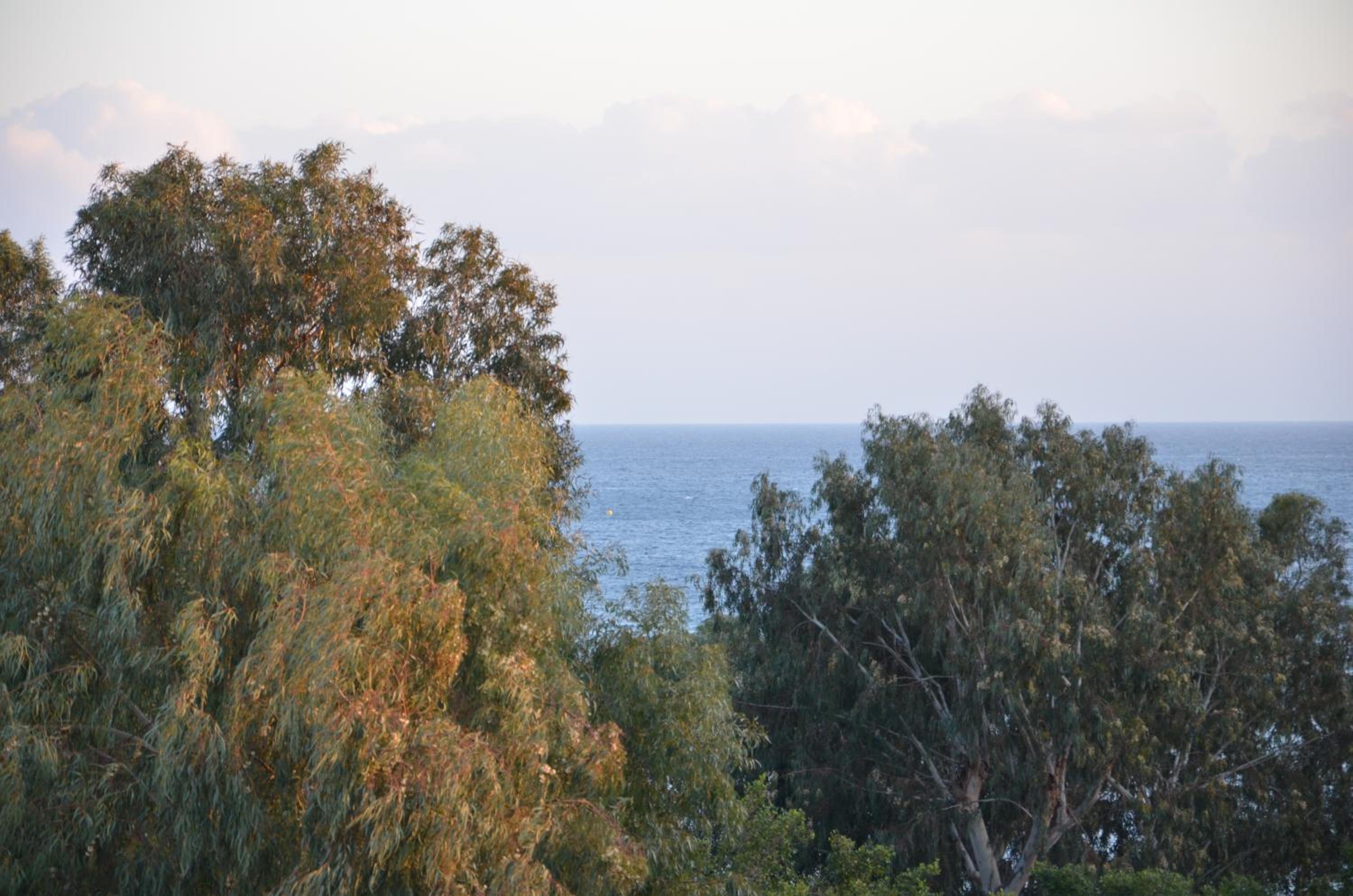 Pebble Beach Holiday Apartments