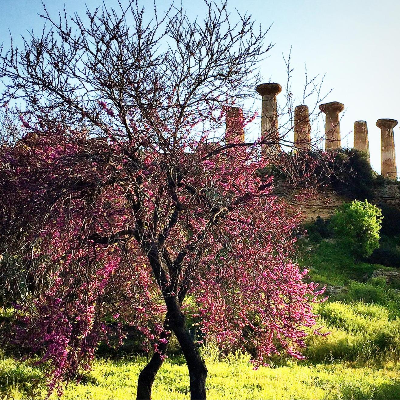 Villa Cetta B&B, photo 40