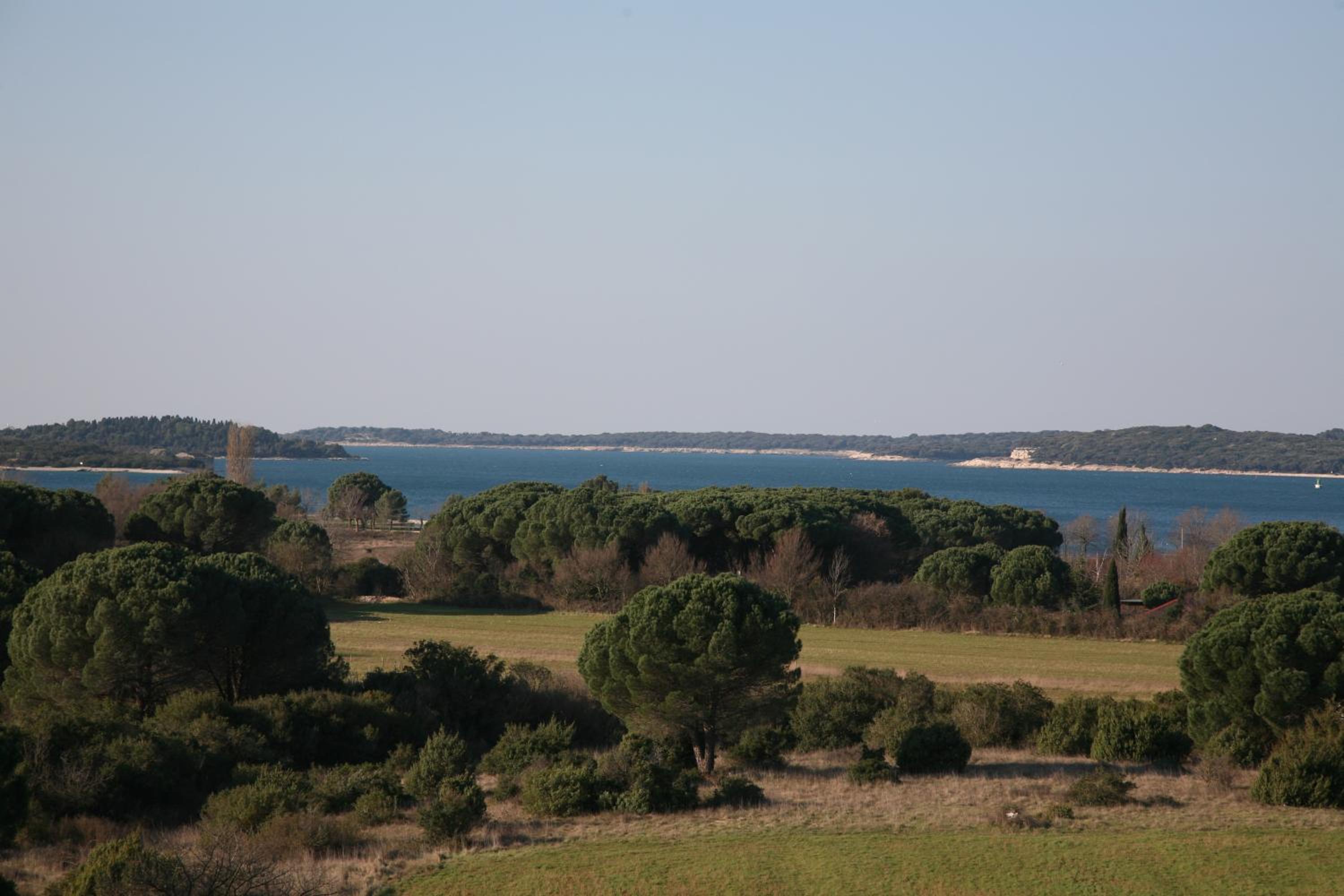 Photo 47