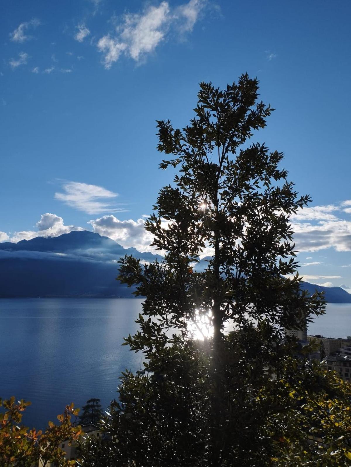 Inspiration room, lake, mountains, balcony in Montreux city center