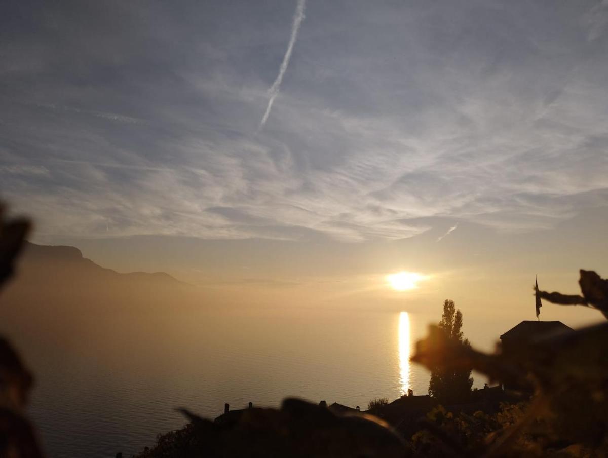 Inspiration room, lake, mountains, balcony in Montreux city center