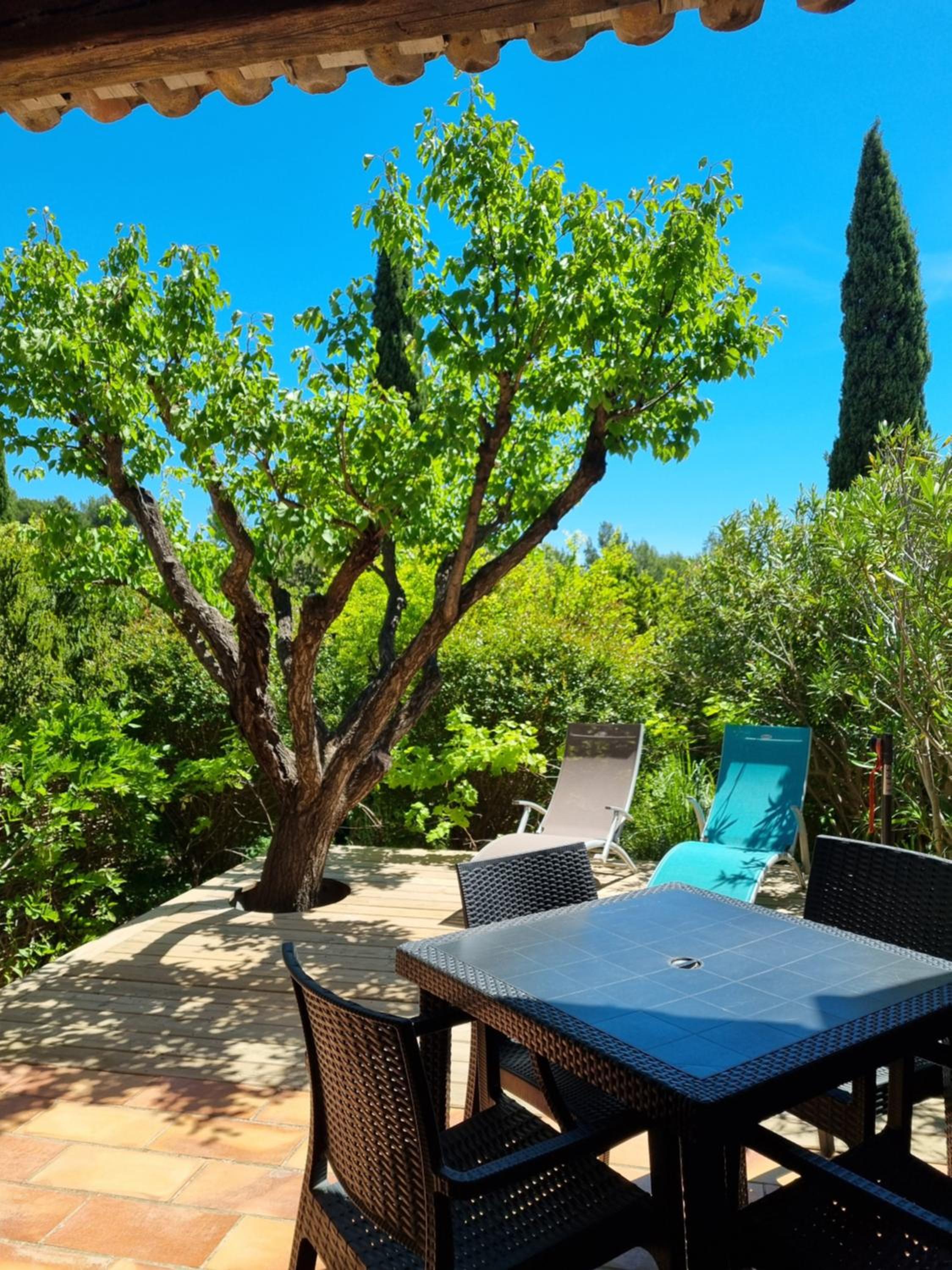 Les Garrigues de la Vallée des Baux
