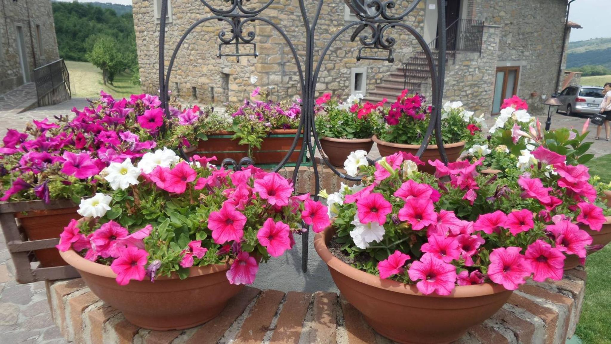 Agriturismo Prato degli Angeli