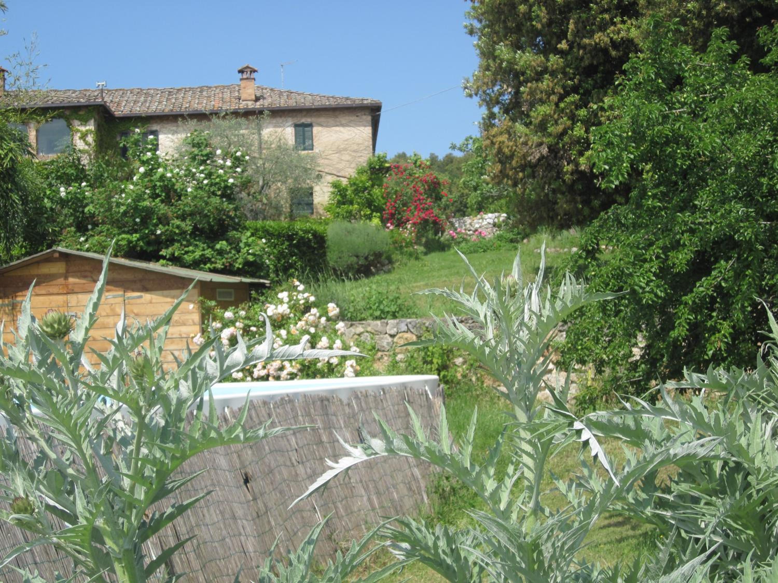 Photo 11
