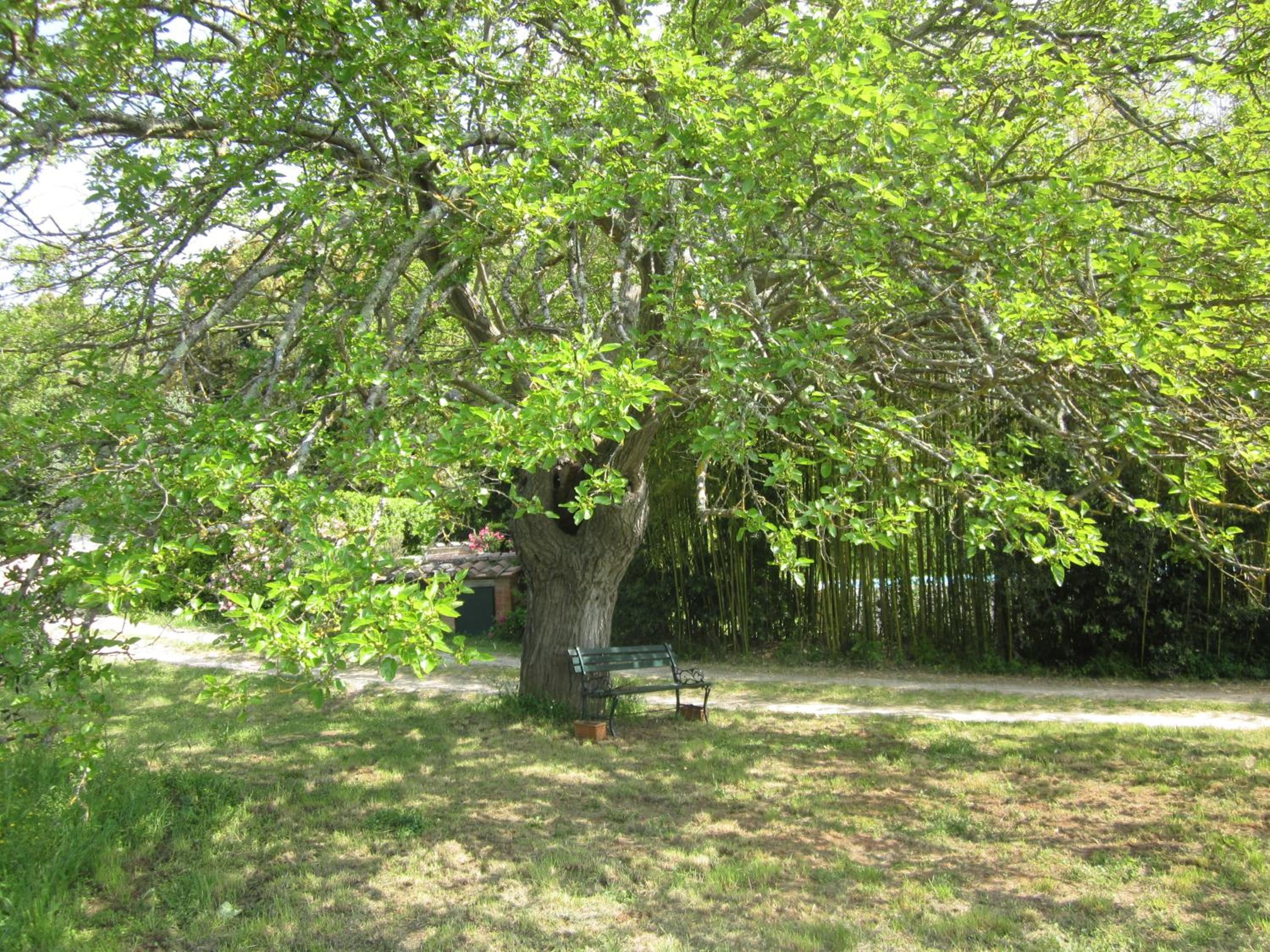 Photo 43