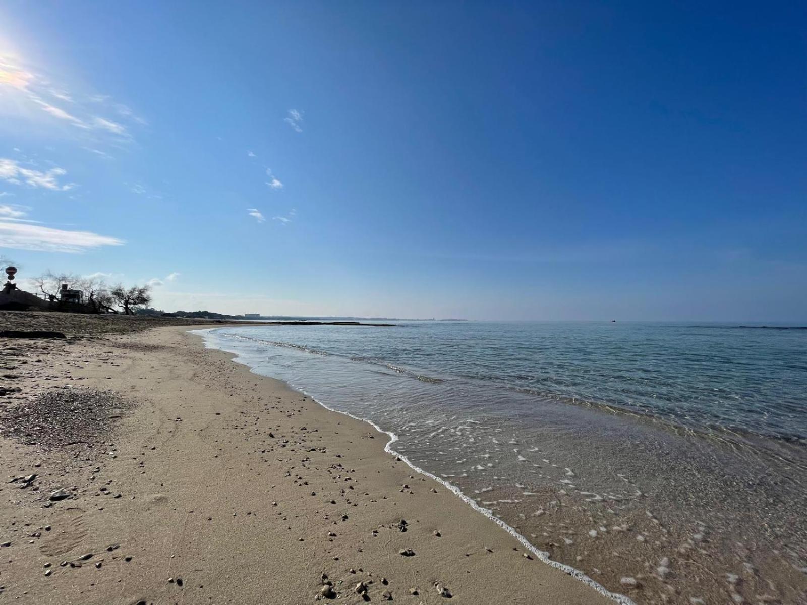 Le conchiglie relax in spiaggia