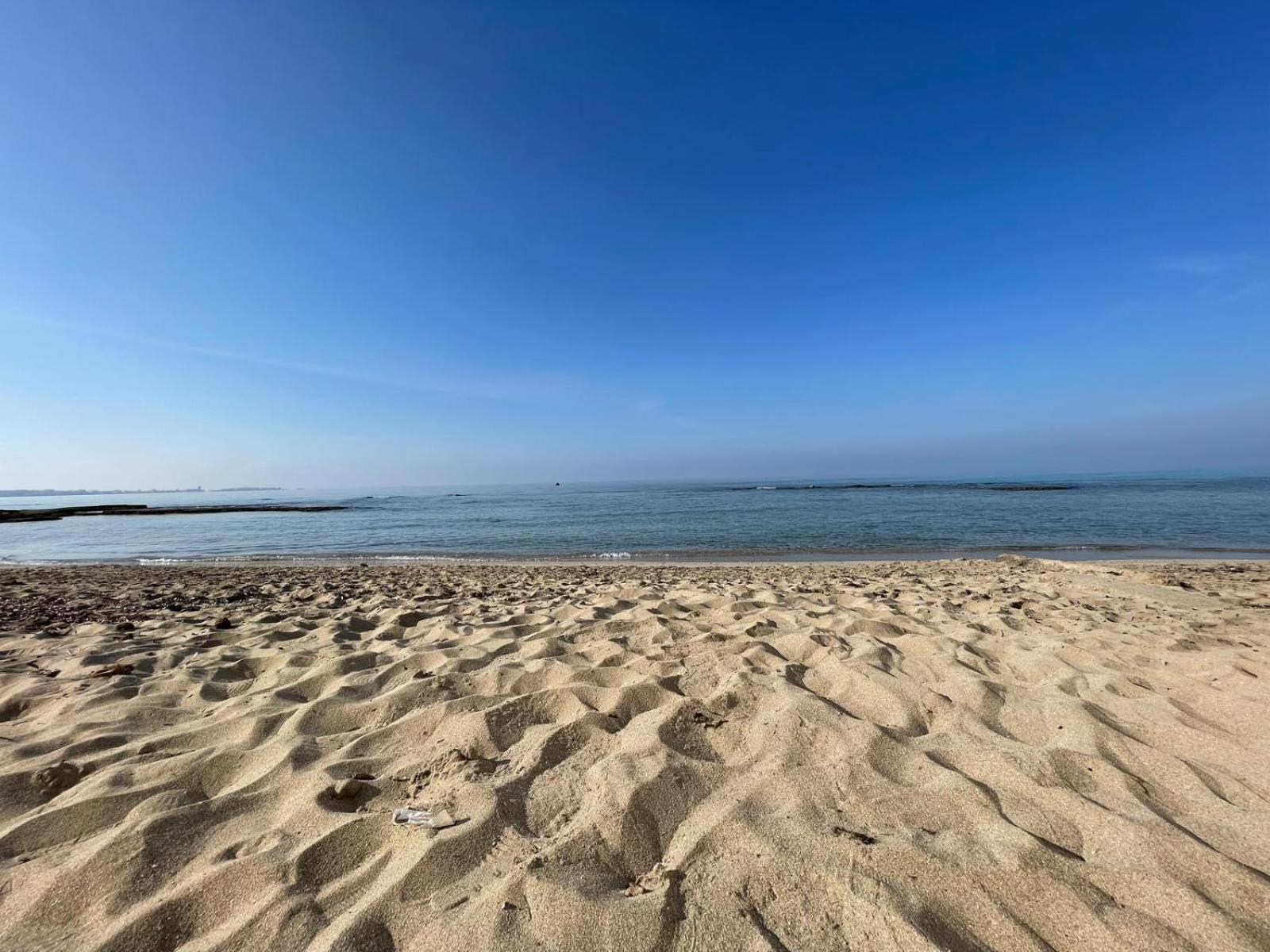 Le conchiglie relax in spiaggia