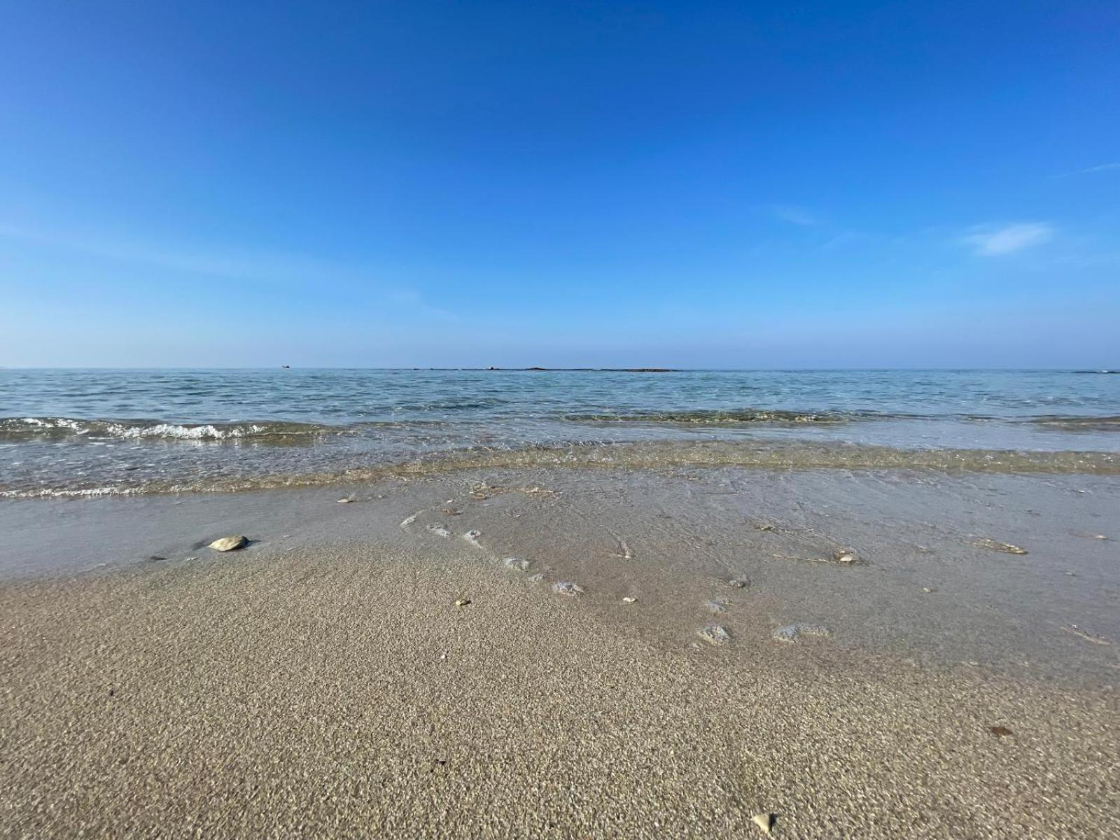Le conchiglie relax in spiaggia