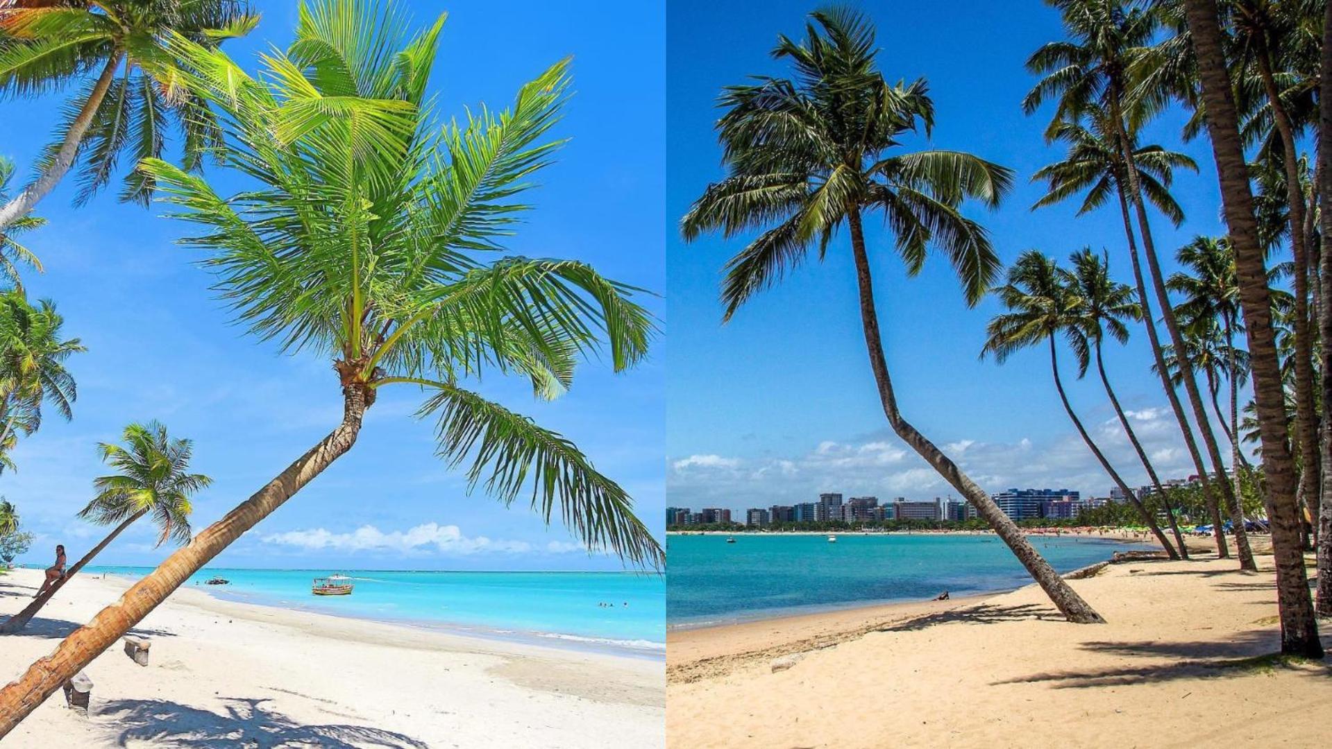 Quarto e Sala na Ponta Verde e Pajuçara