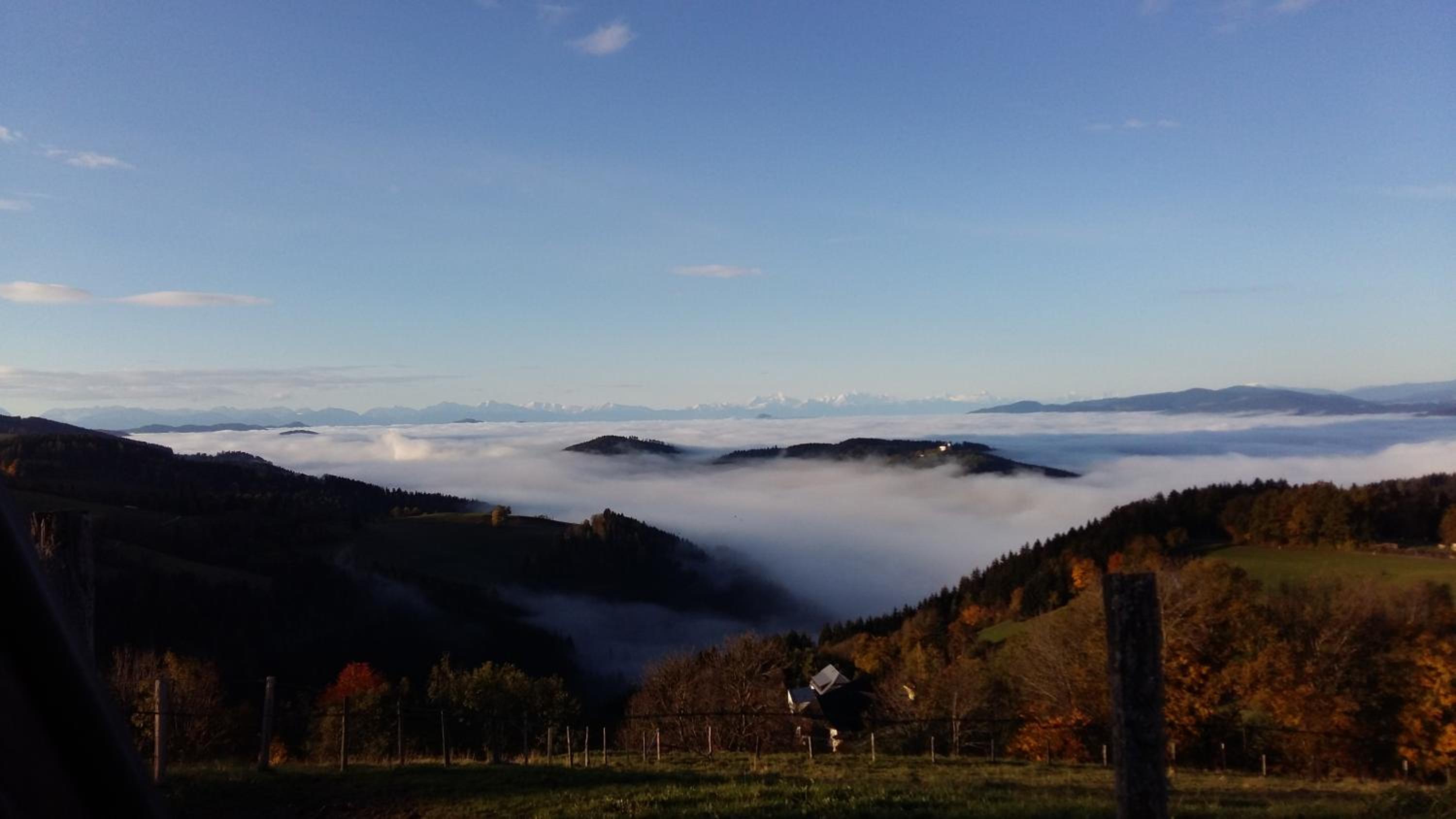 Forellenwirt Bacher