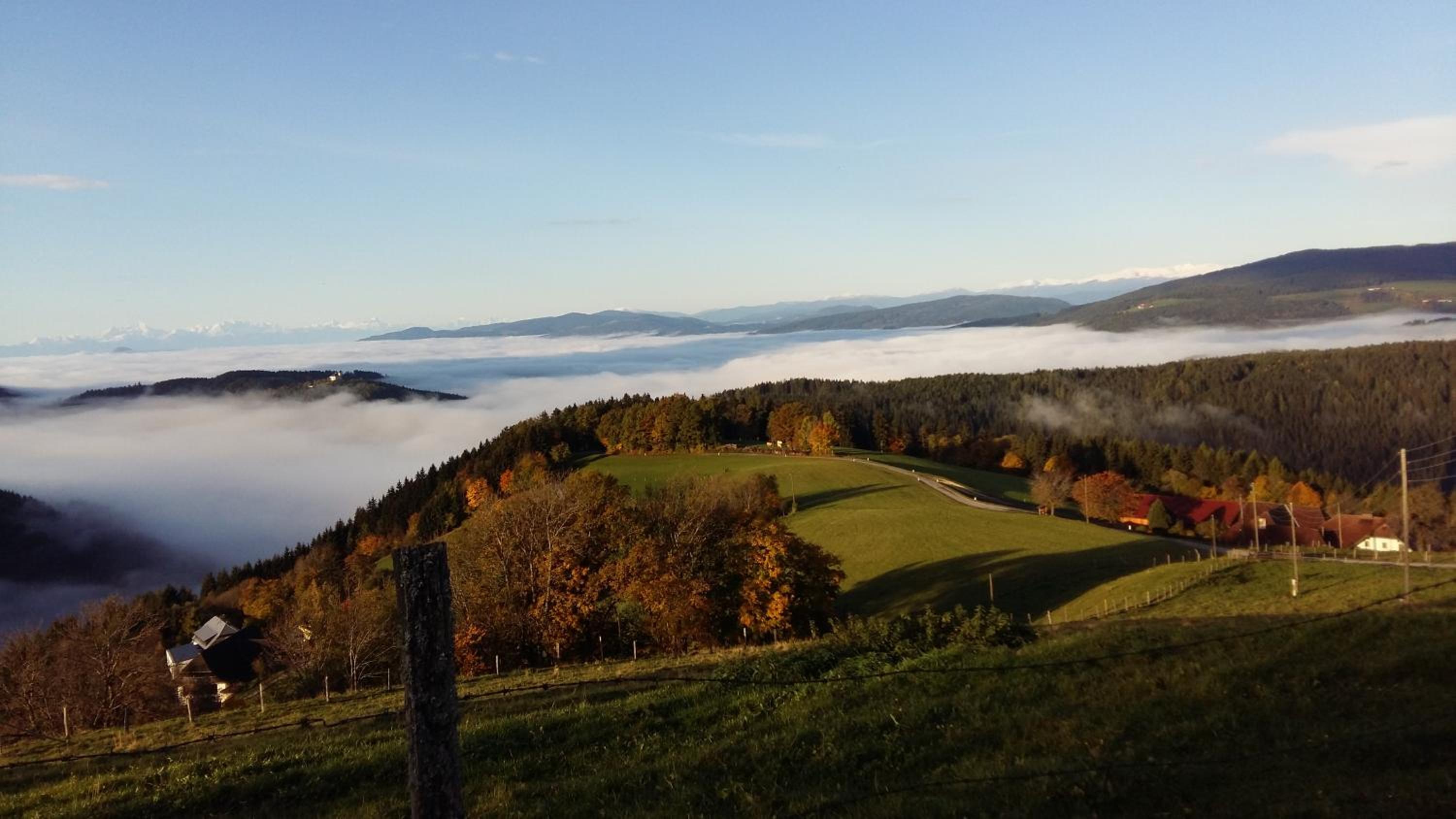 Forellenwirt Bacher
