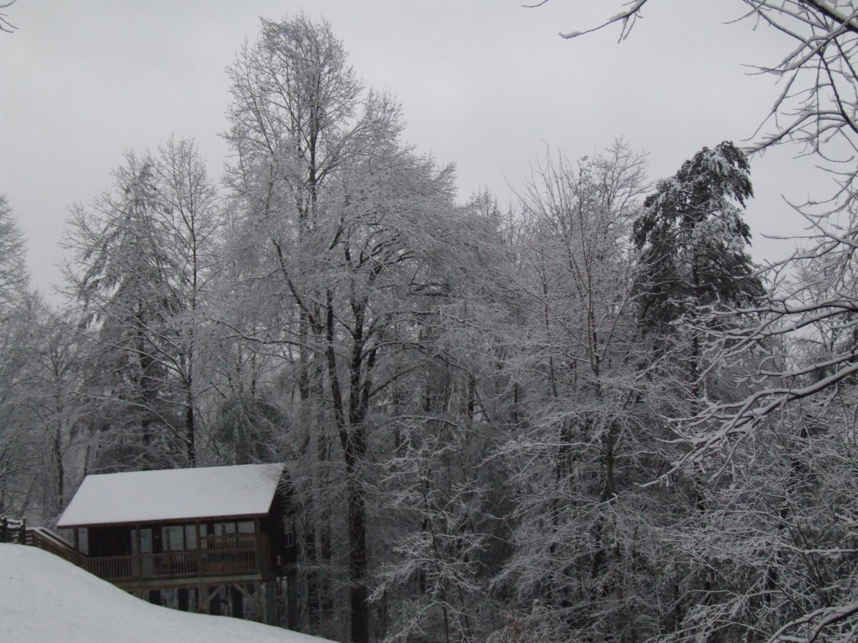 Nantahala Cabins