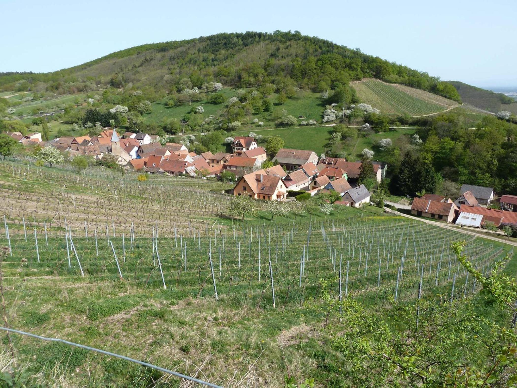 Schiefferberg view 4