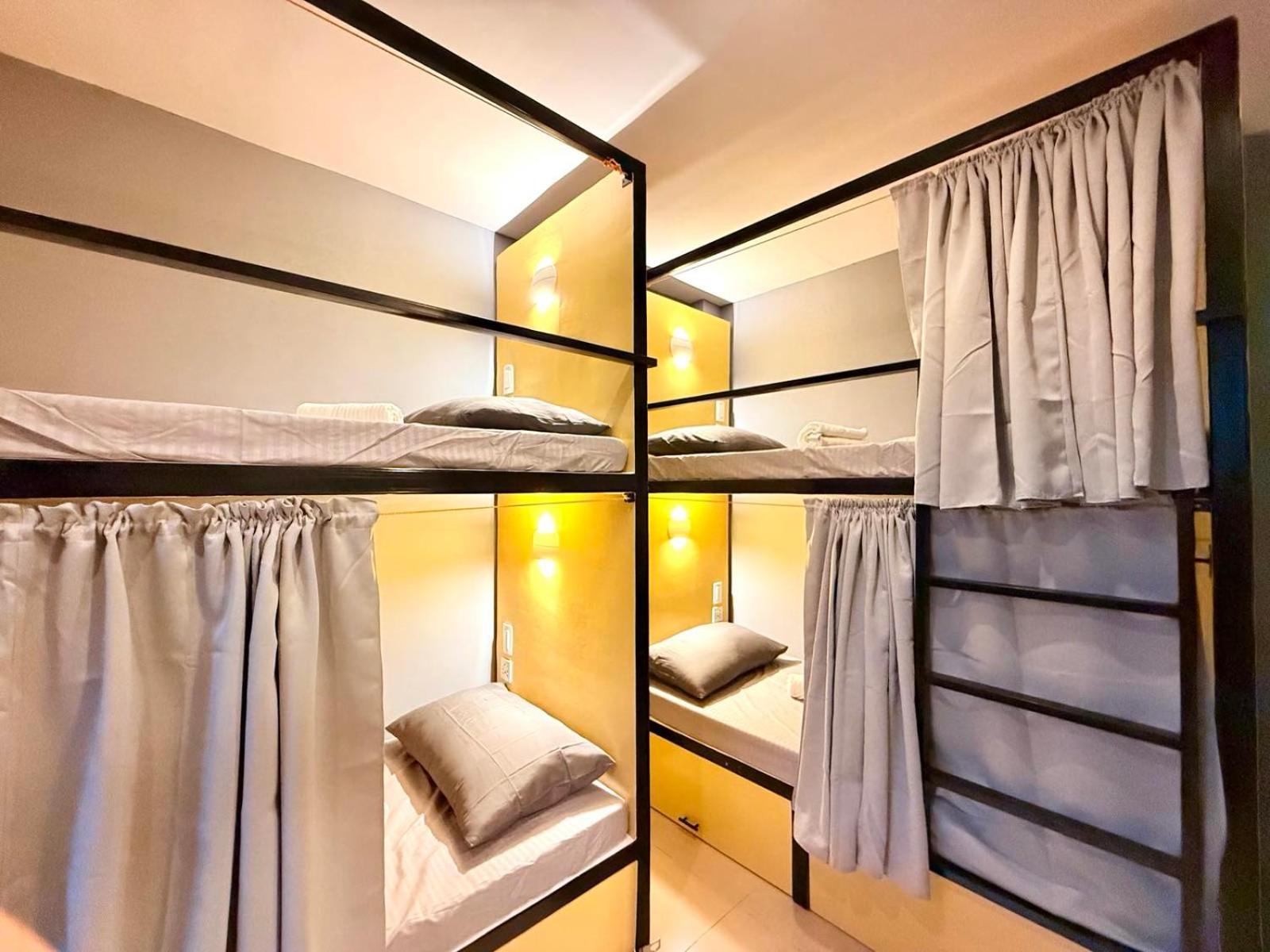 Goofy Ants Hostel