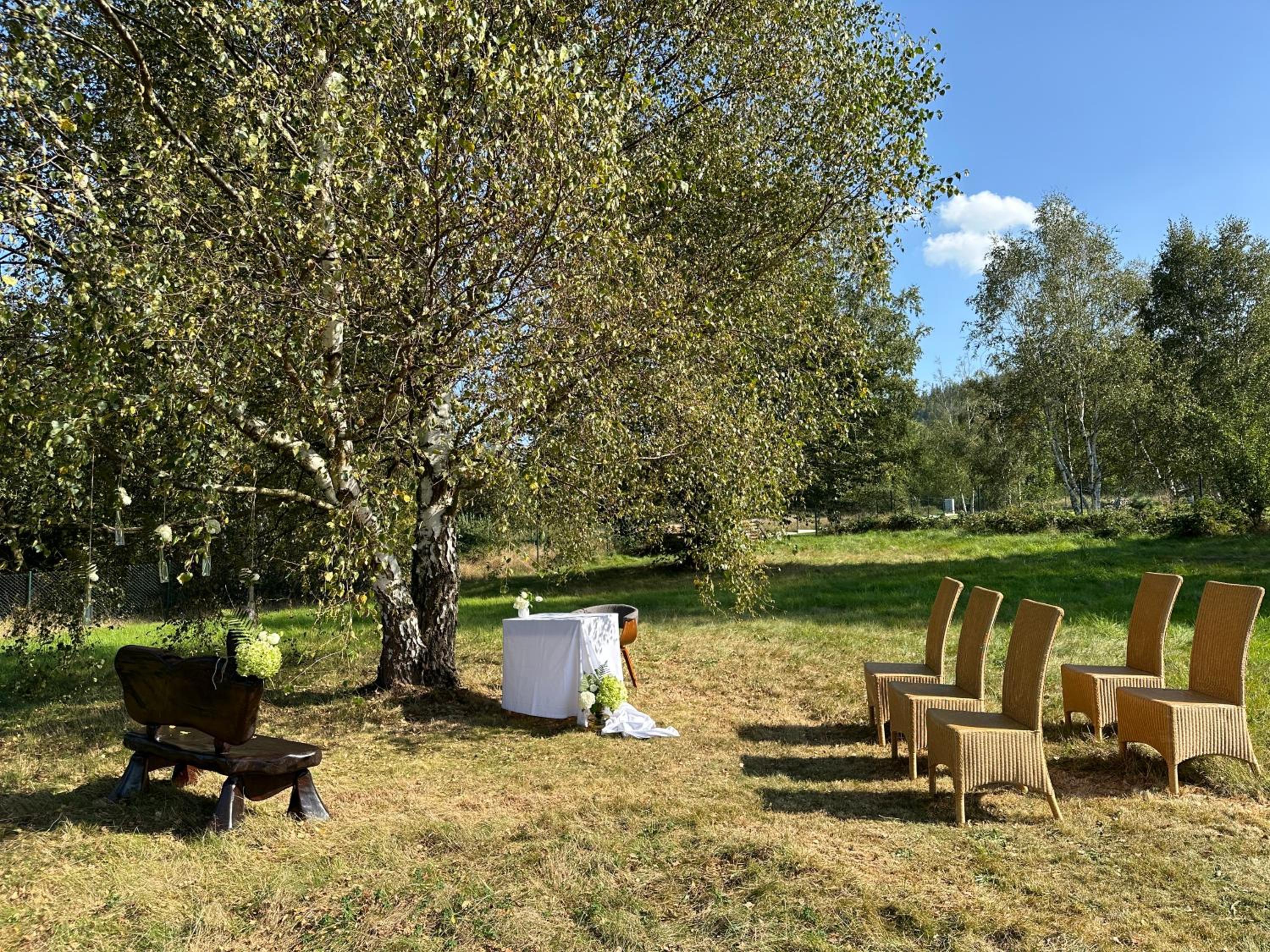 Polna Mięta
