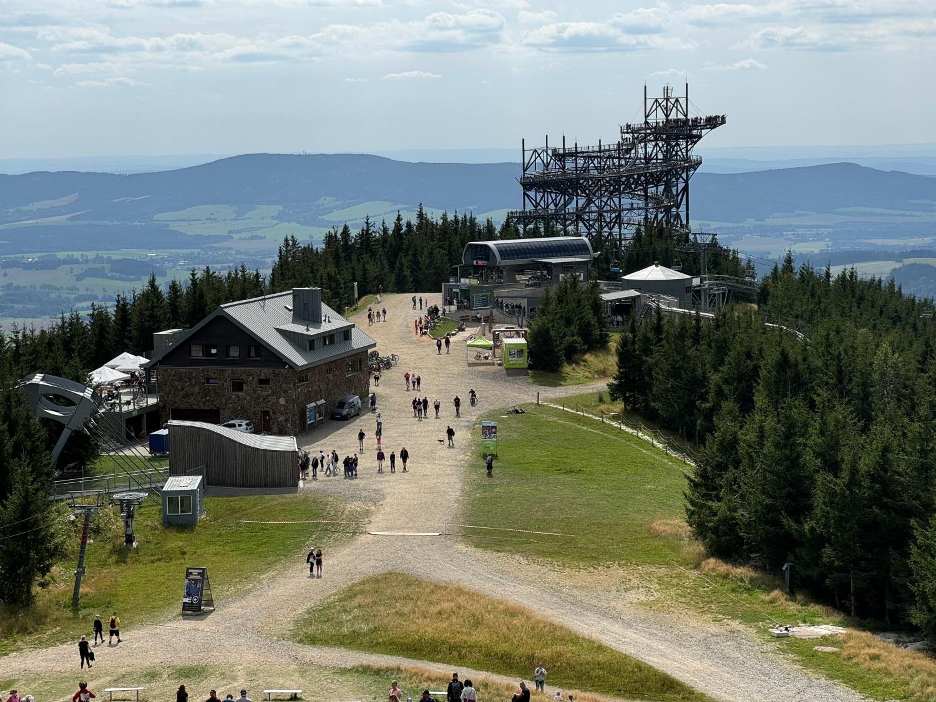 Polna Mięta