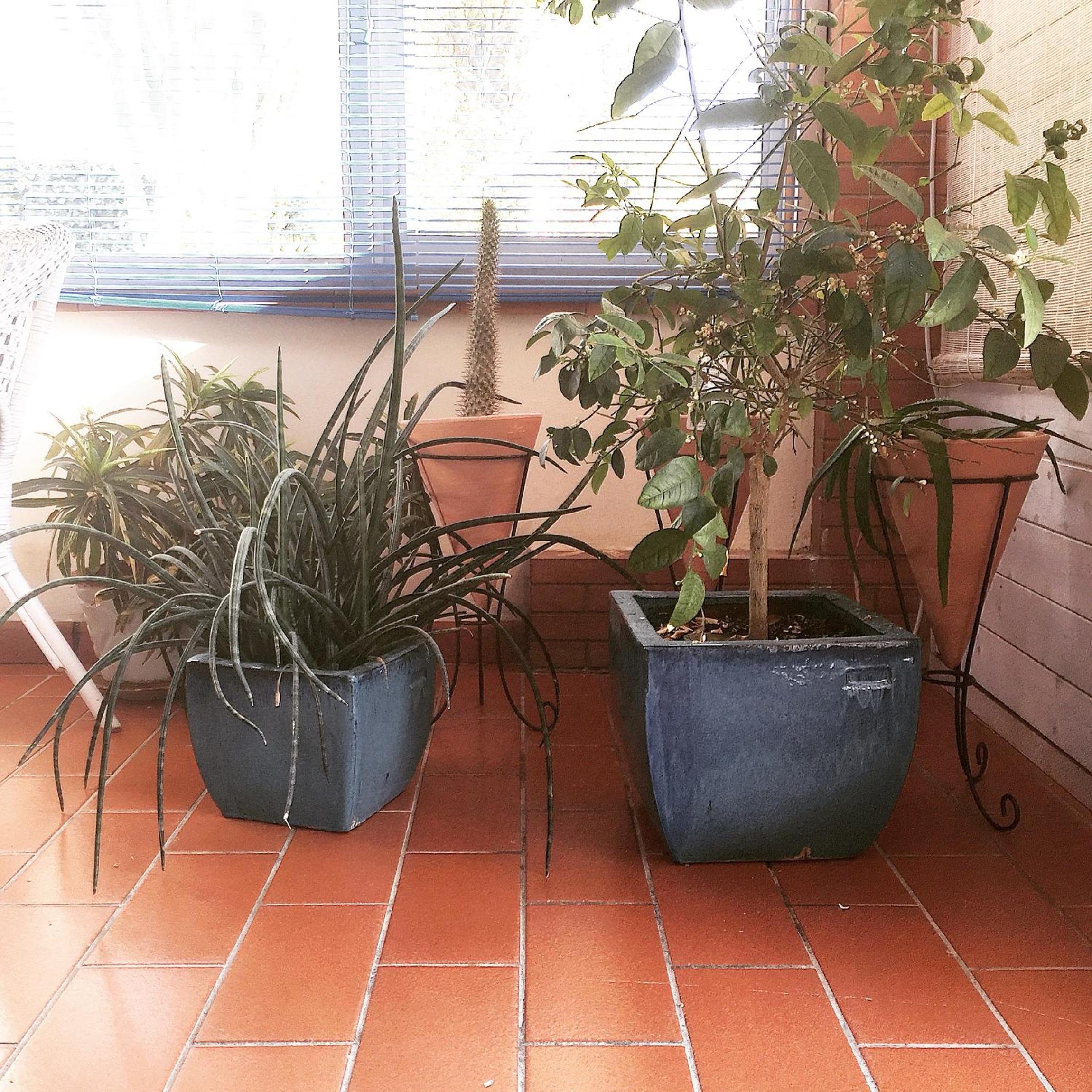 Villa Cetta B&B, photo 19
