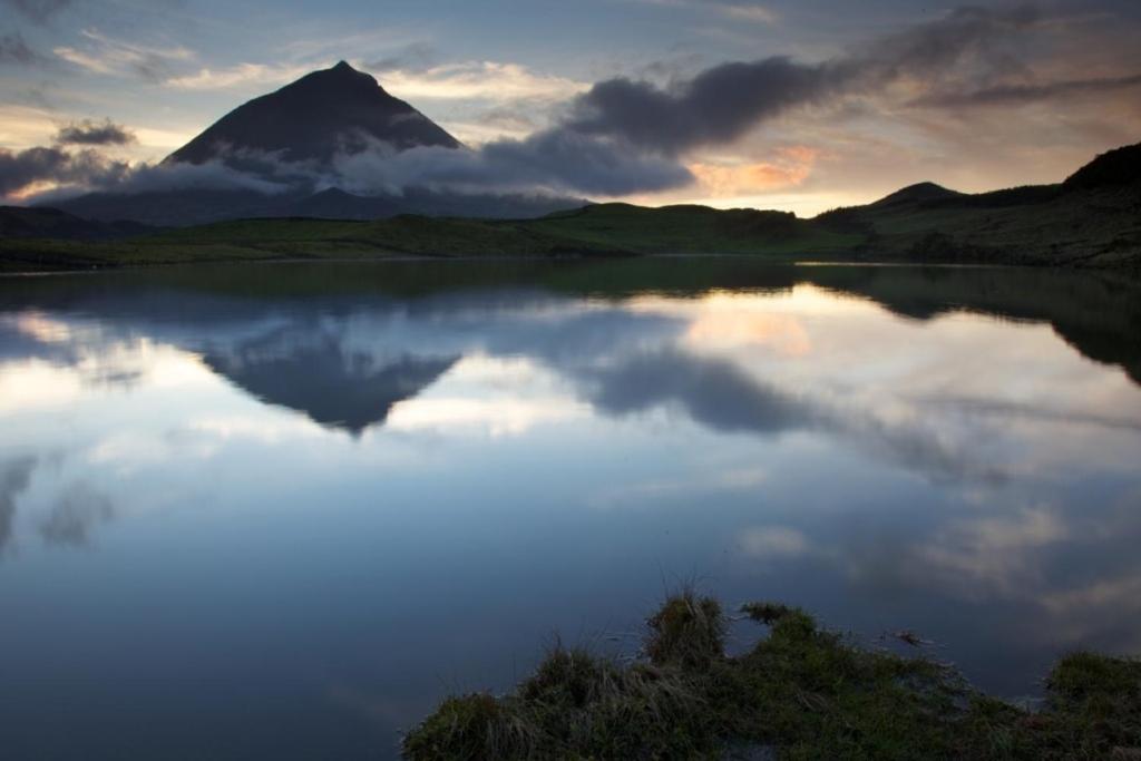 Pico Dreams