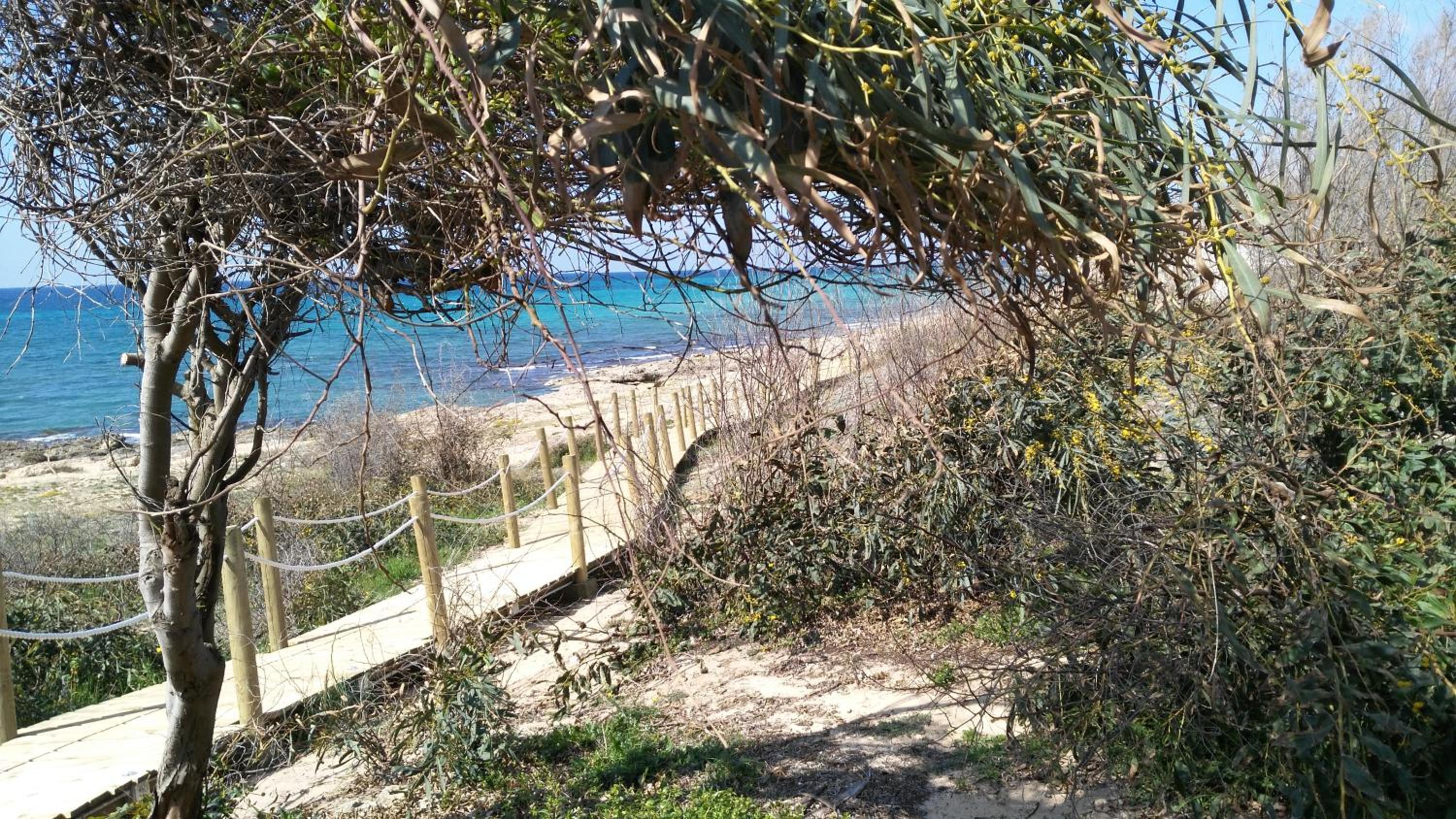 Photo 23