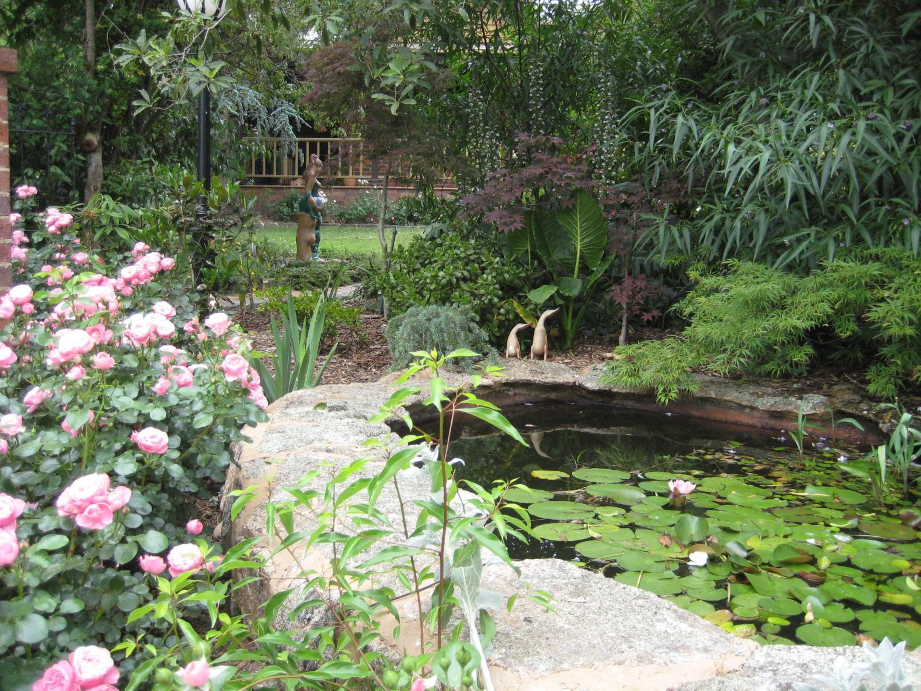 Photo 45